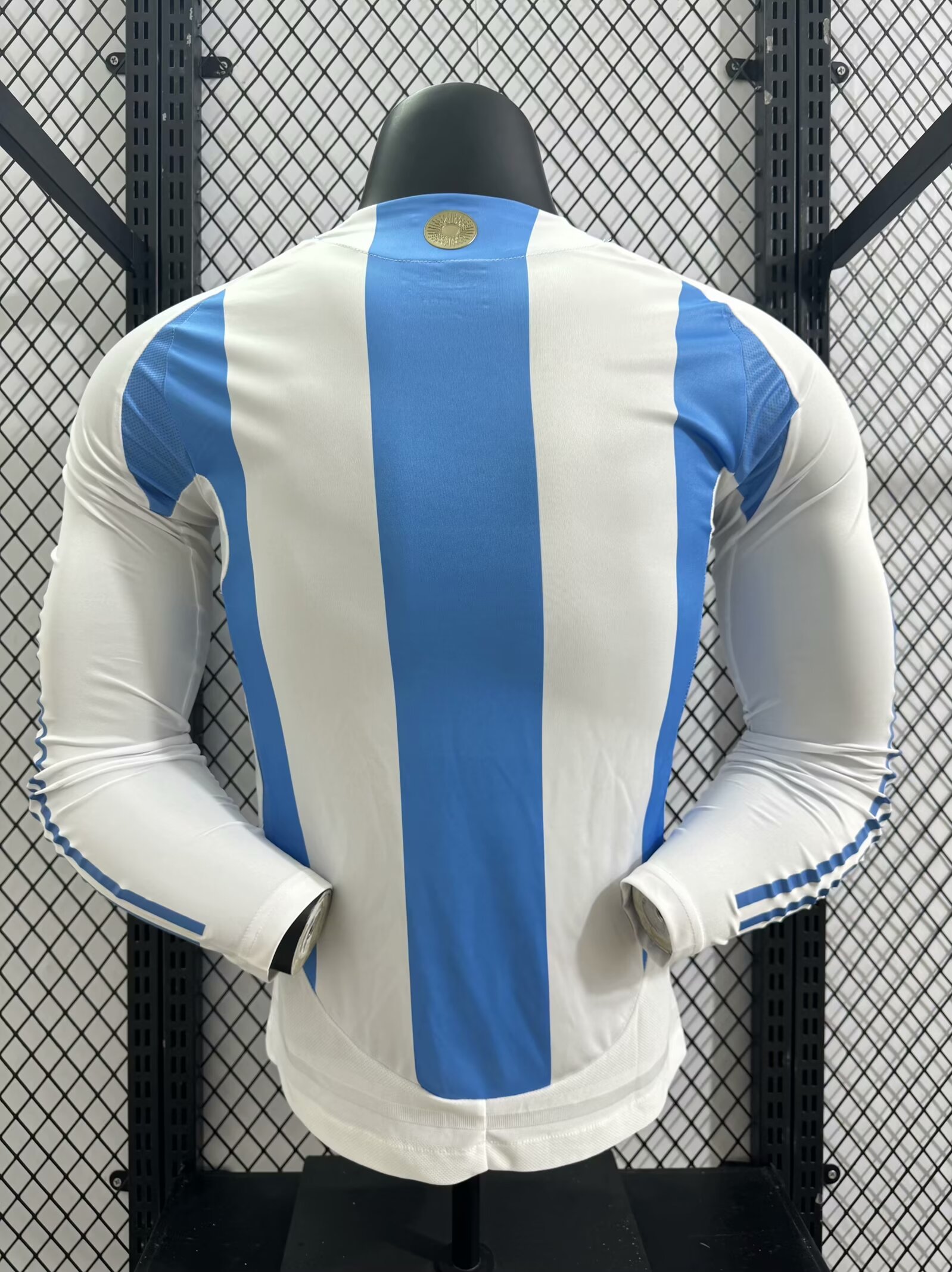 2024/25 Argentina Home Long Sleeve Shirt - Player Version