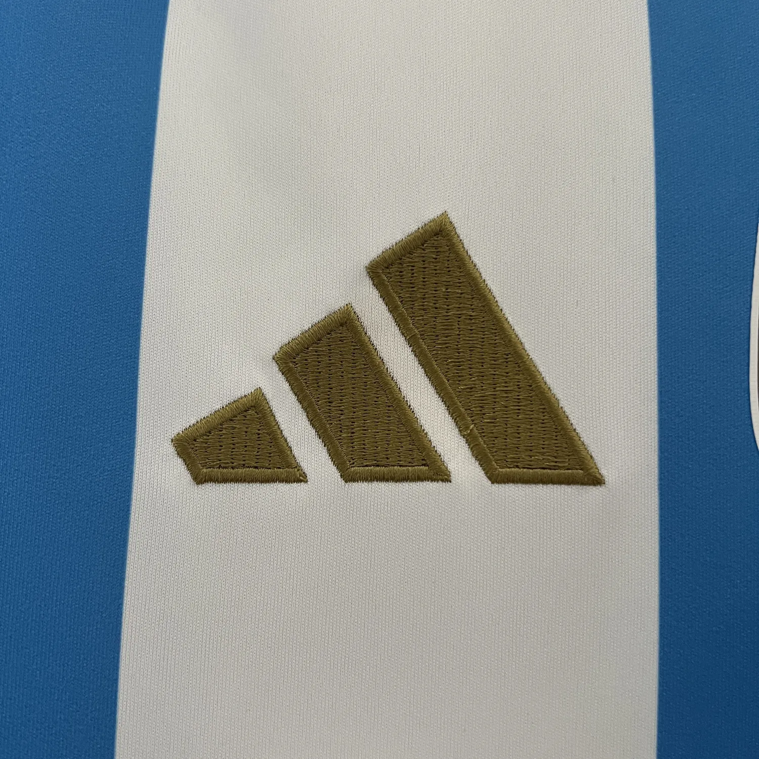 2024/25 Argentina Home Jersey - Fans Edition