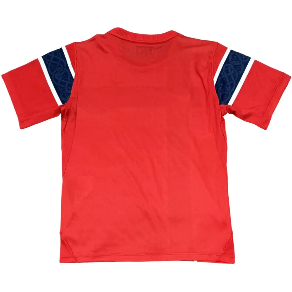 2026 World Cup Norway Home Jersey - Fans Edition