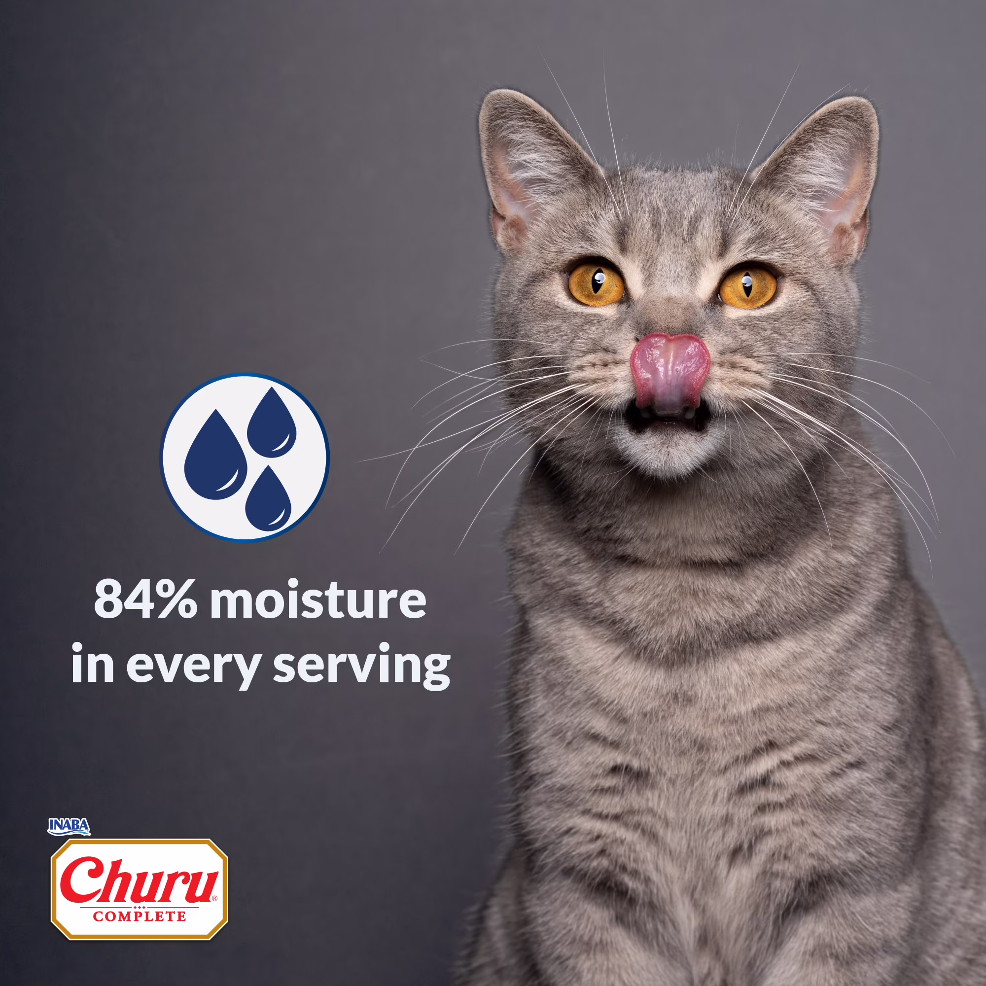 INABA Churu Complete Pate Wet Cat Food with Fish Oil, 1.23oz. per Serving, 2 Servings, Chicken Recipe with Cheese