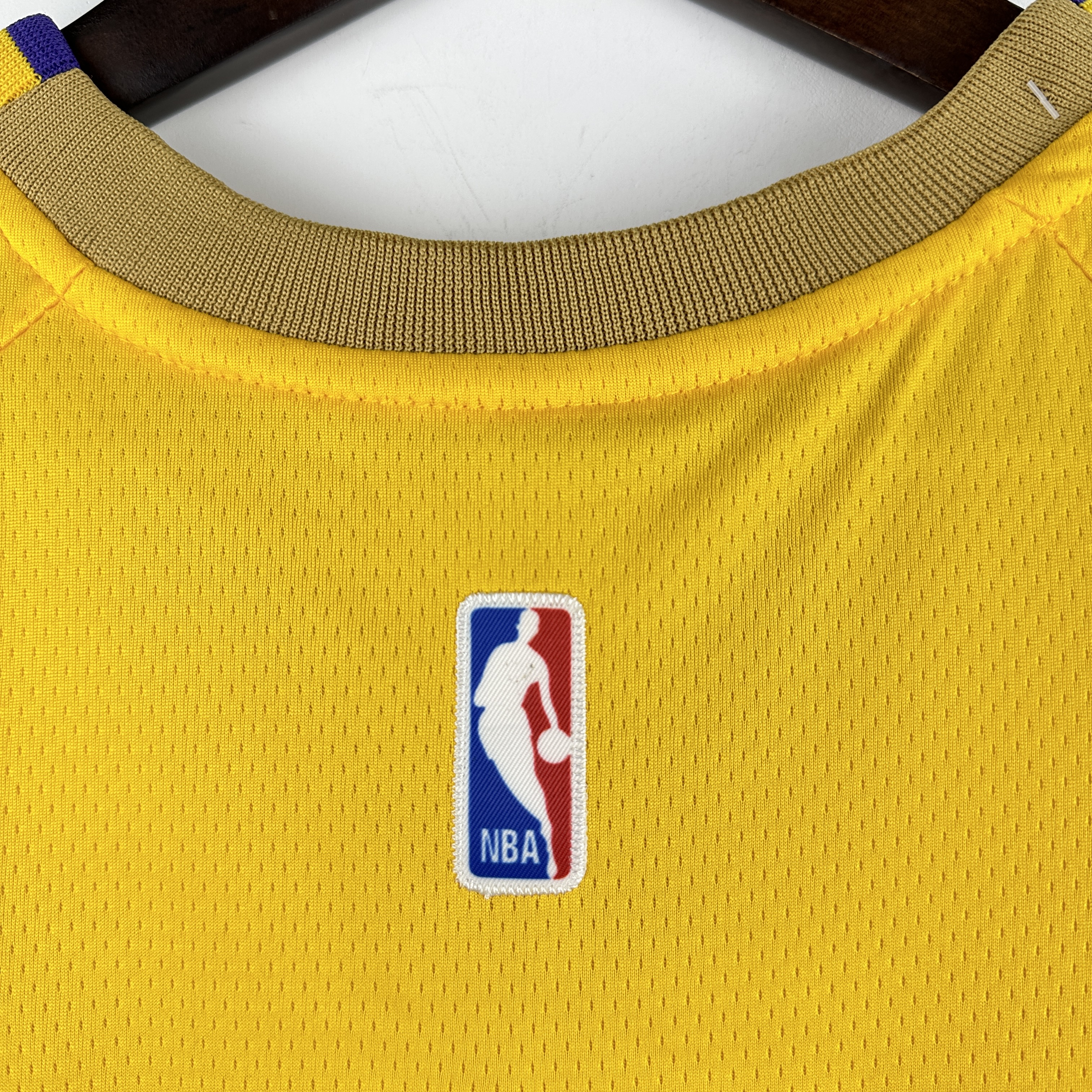 Embroidered Lakers with stars No. 23 James