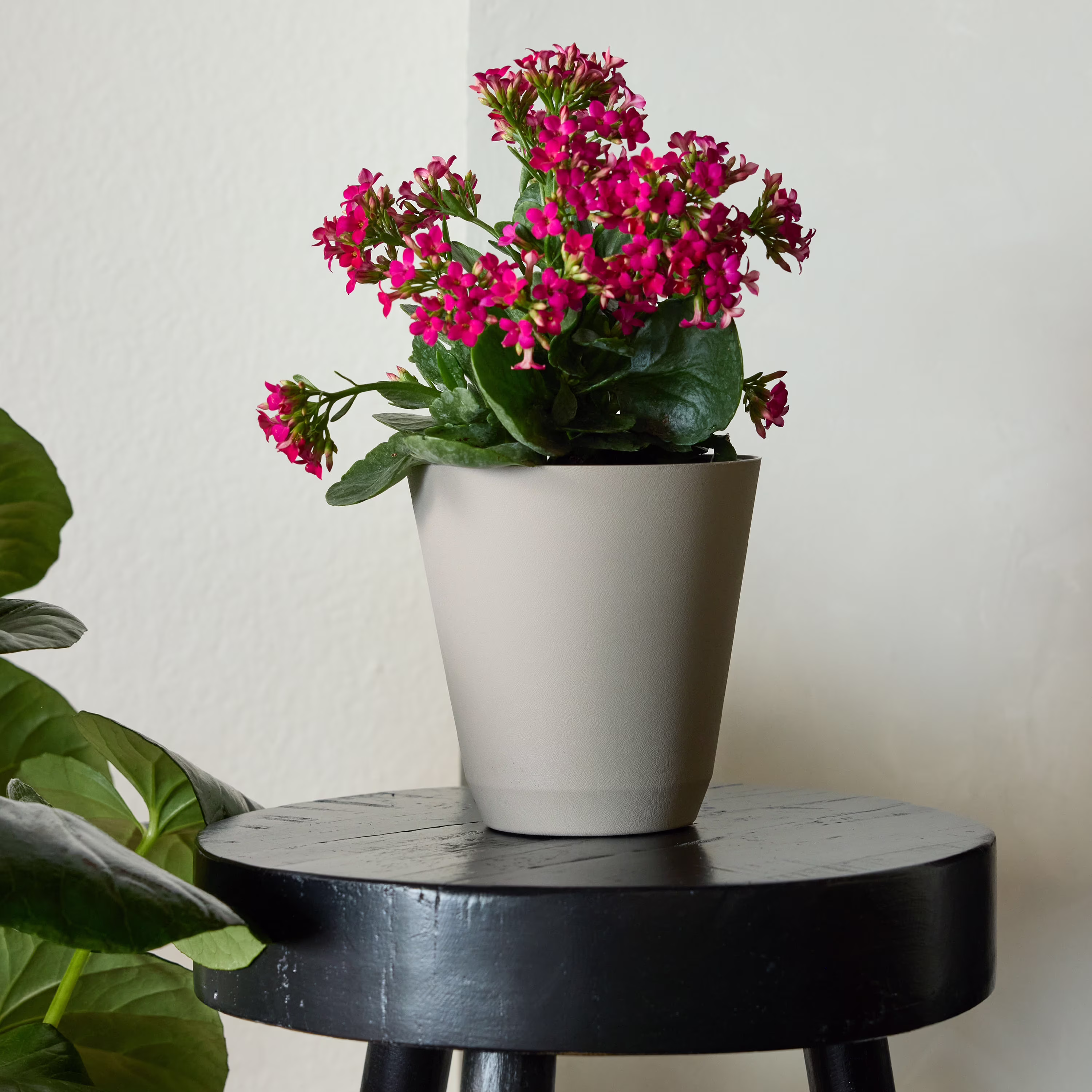Mainstays 11 in. Beige Resin Self-Watering Planter