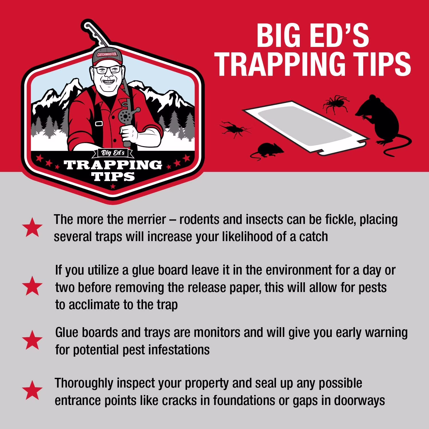 Catchmaster Mouse & Insect Solid Glue Board Traps, 4 Count