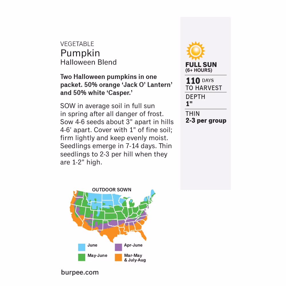 Burpee Halloween Blend Pumpkin Vegetable Seed, 1-Pack