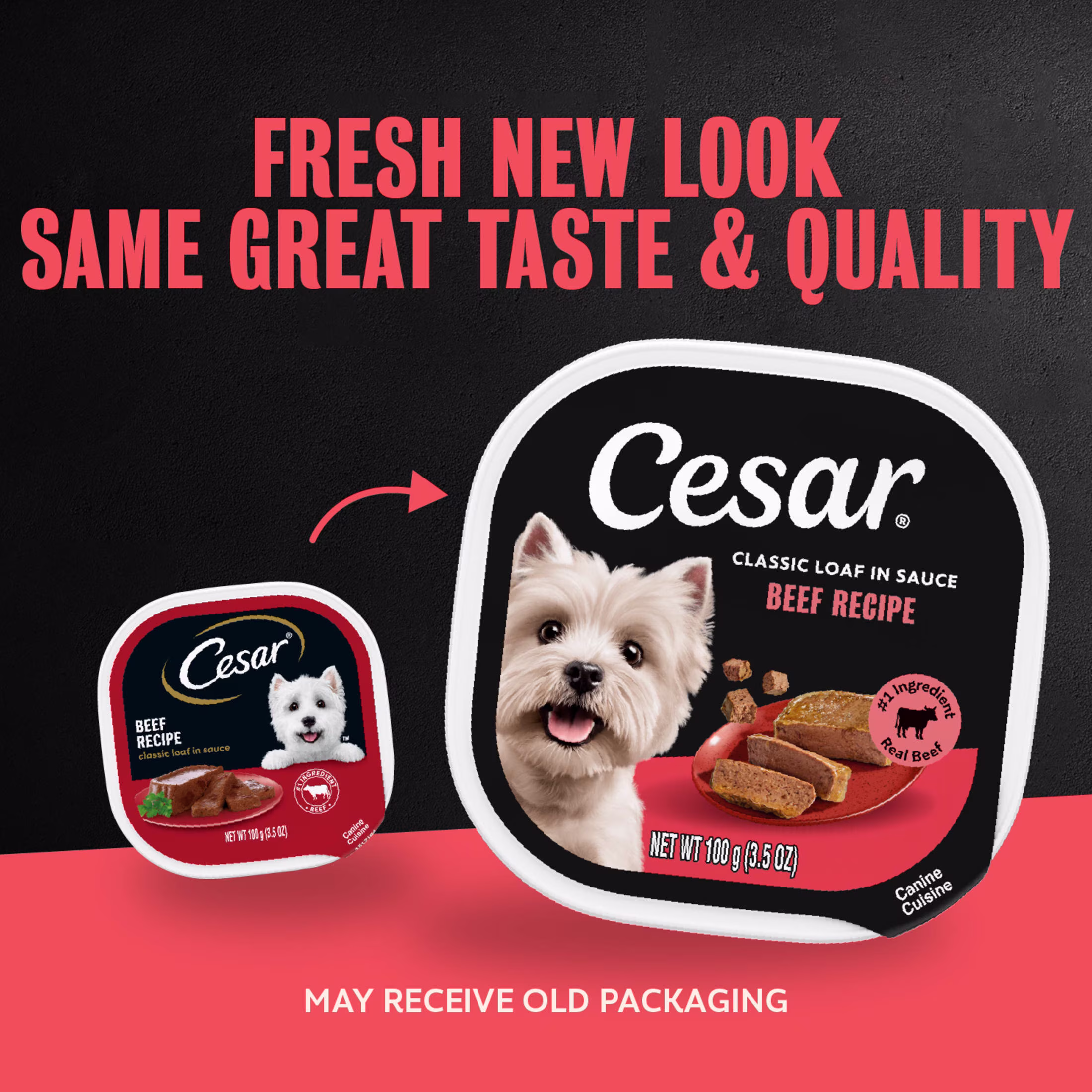 Cesar Classic Loaf In Sauce Beef Recipe Adult Wet Dog Food, 3.5 Oz Easy Peel Tray