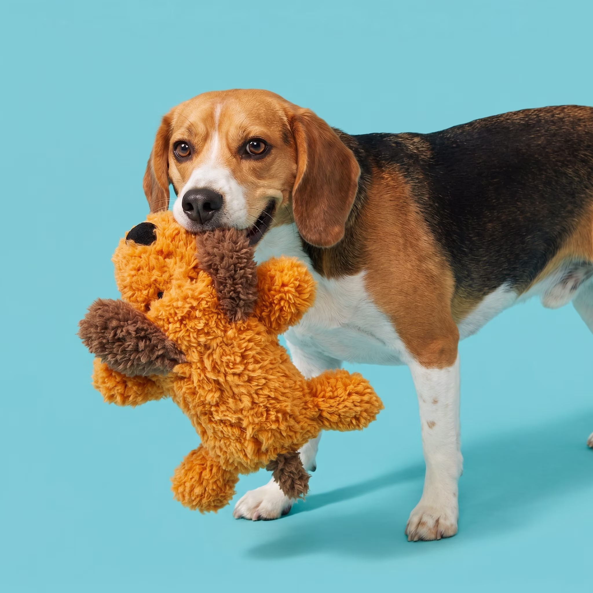 (4 pack) Vibrant Life Brown Floppy Plush Dog Toy with Squeaker, Chew Level 1