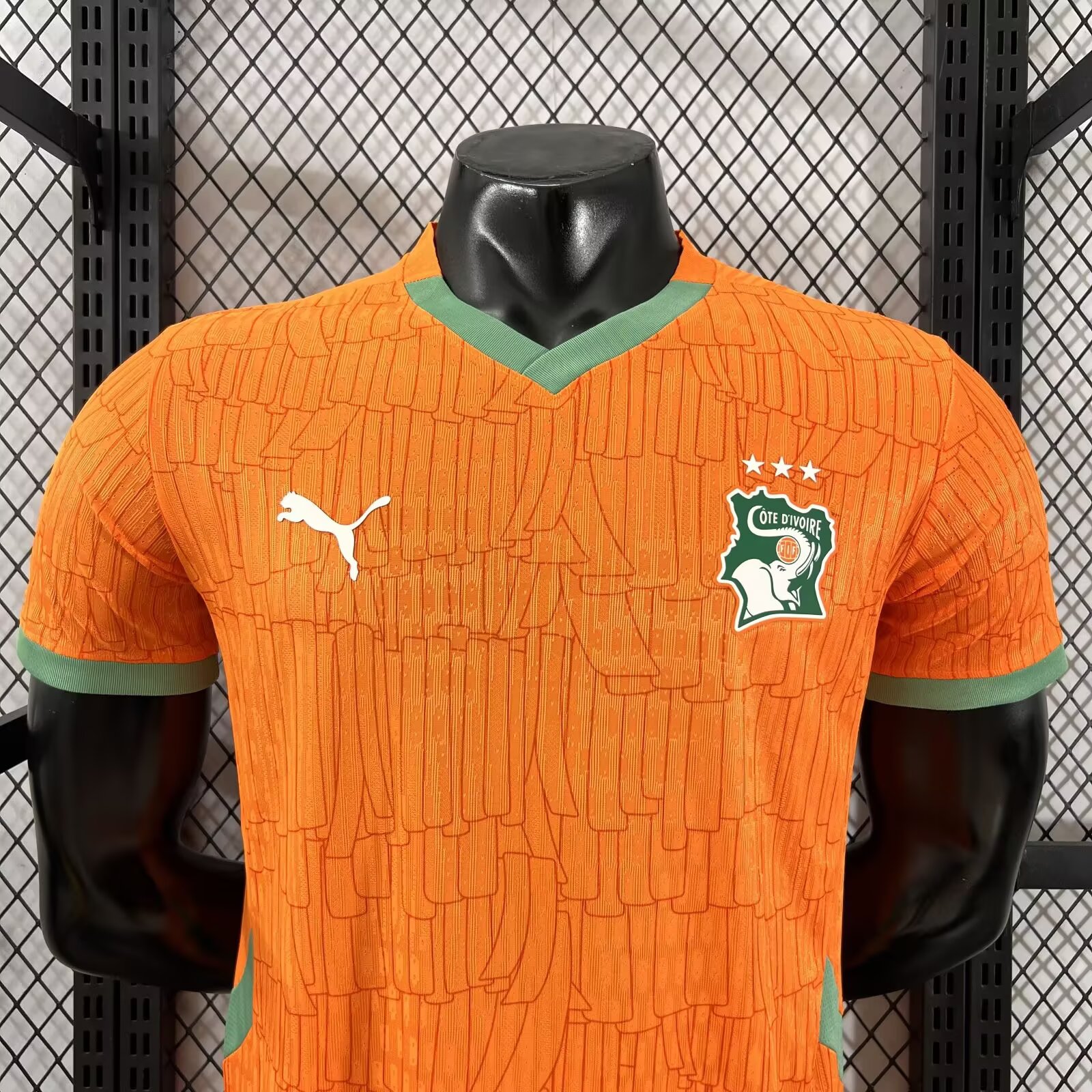2025-26 Ivory Coast Home Jersey - Player Version