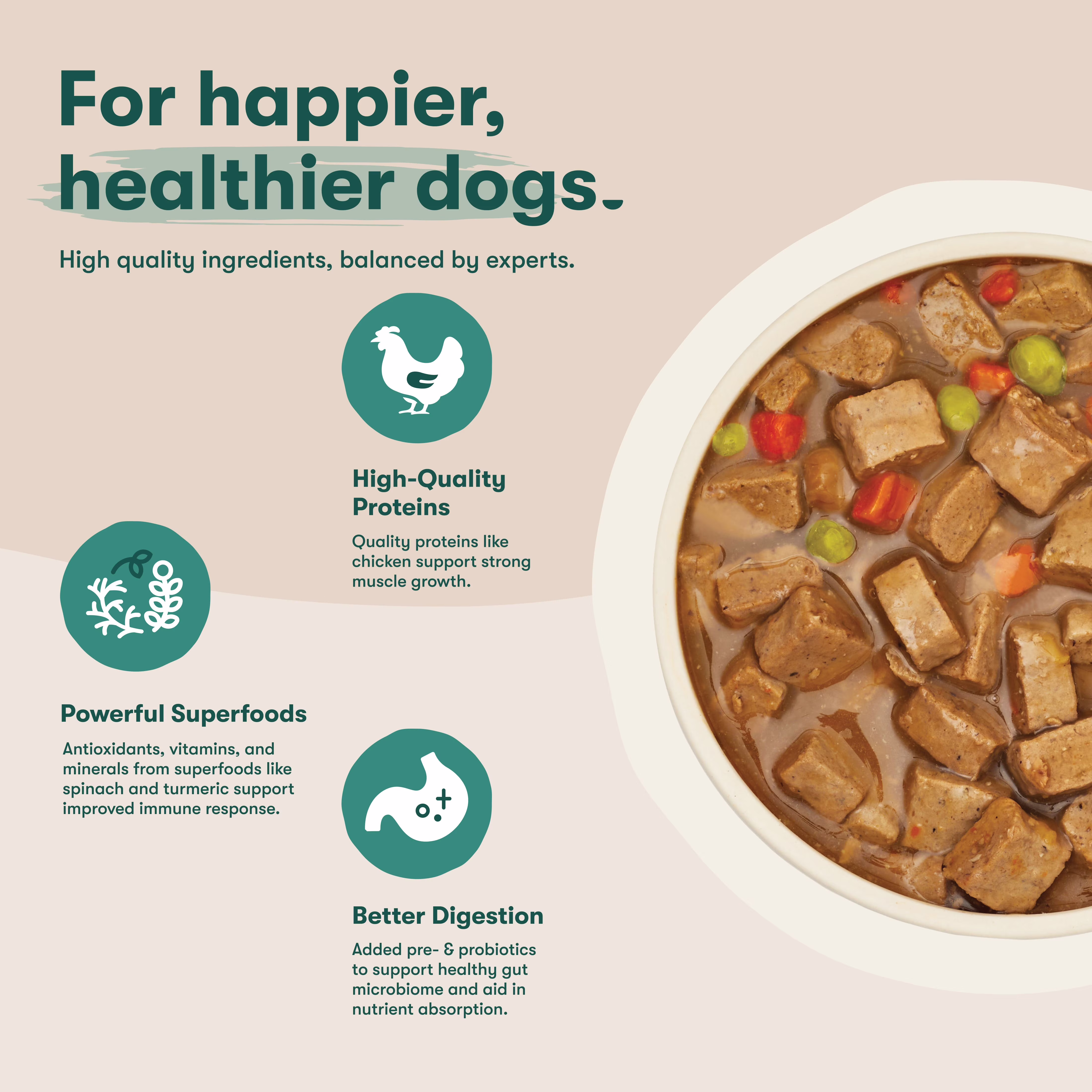 Jinx Bone Broth Stew Grain-Free Chicken & Vegetables Wet Dog Food, 13 oz Can
