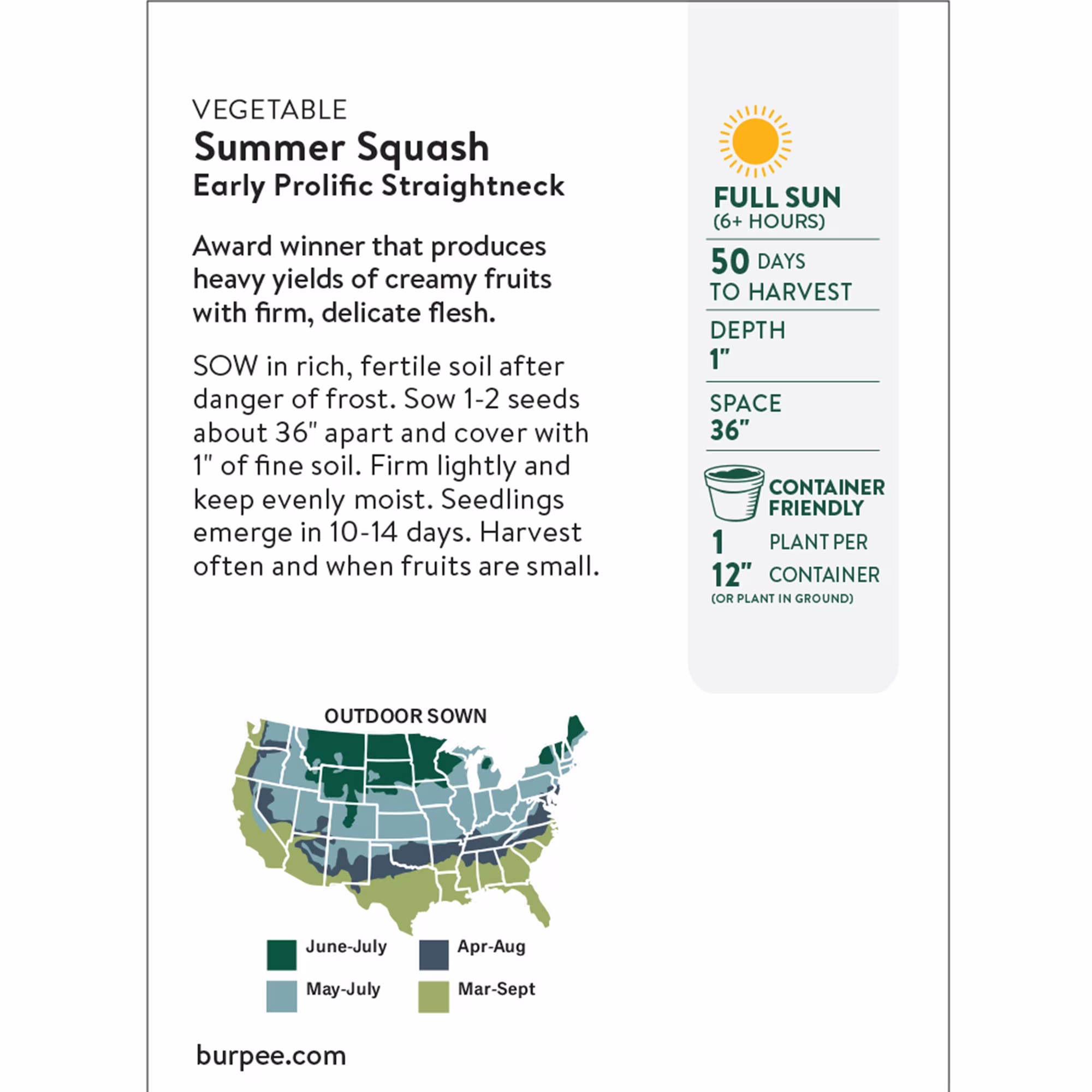 Burpee Organic Early Prolific Straightneck Summer Squash Vegetable Seed, 1-Pack