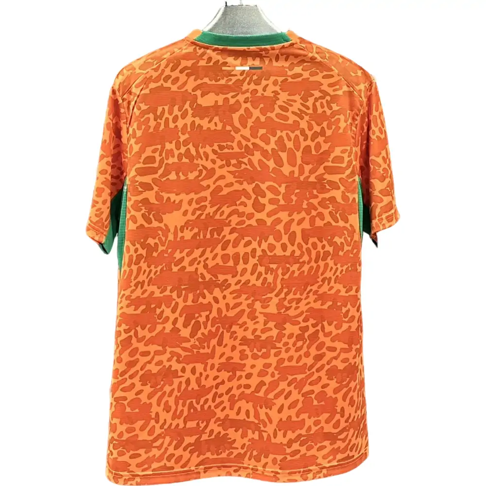 Ivory Coast national football team