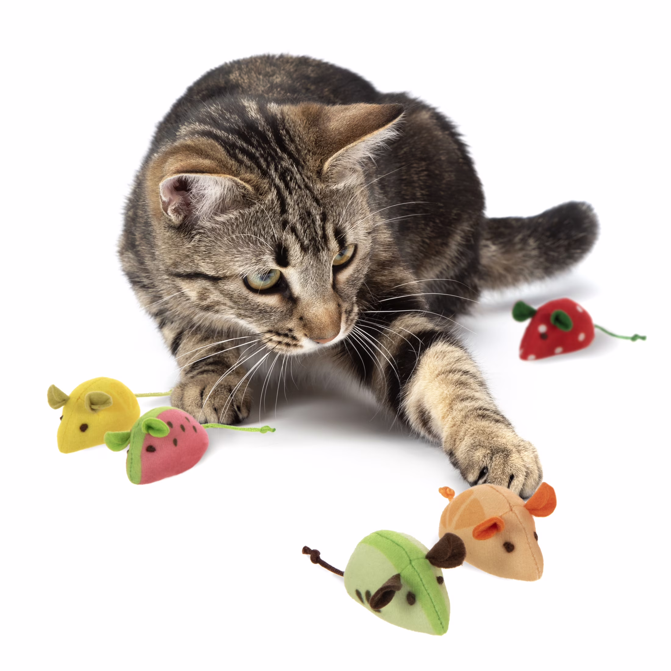 SmartyKat Skitter Slices (Set of 5) Soft Plush Catnip Mice Cat Toys Filled with Pure & Potent Catnip