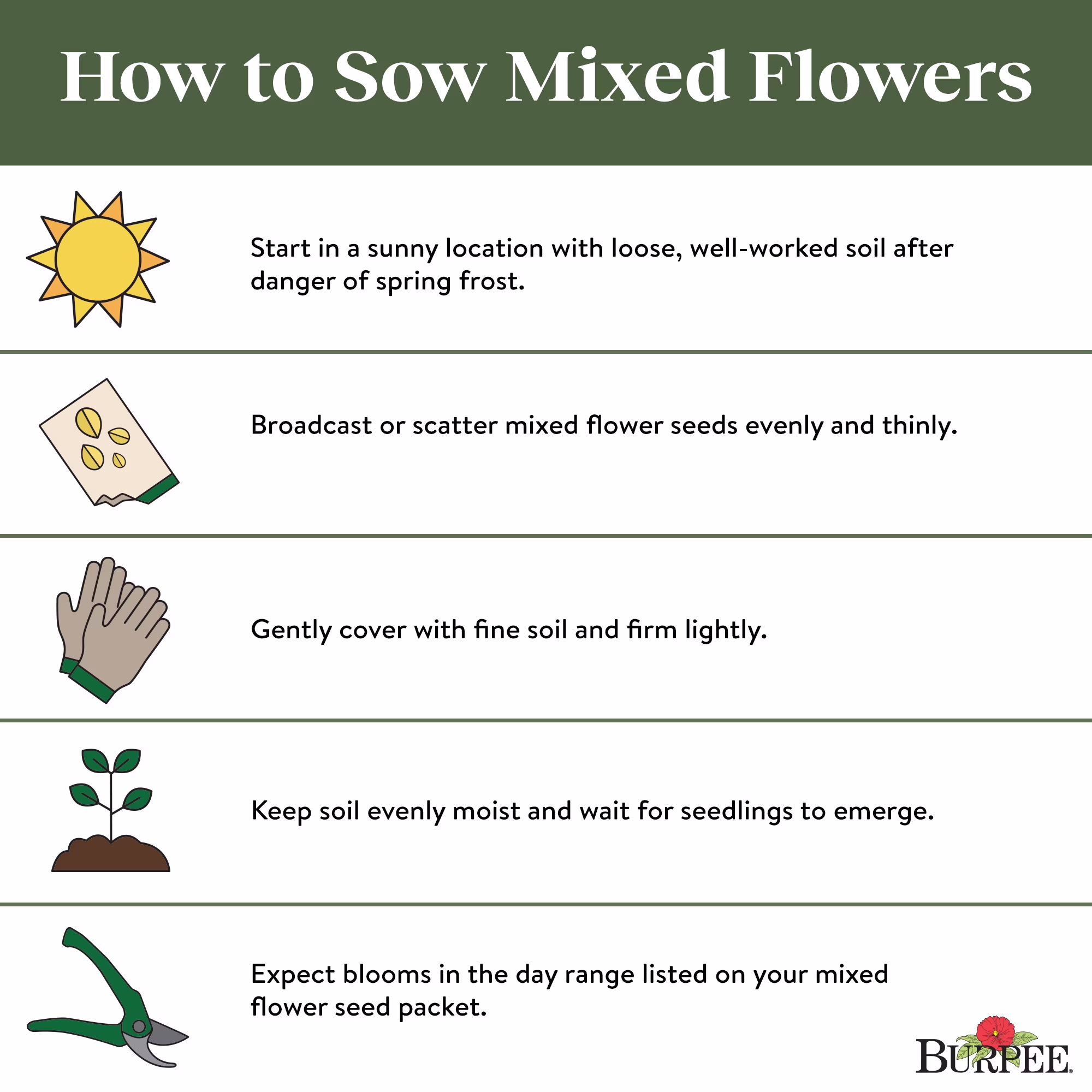 Burpee Sun & Shade Mix Mixed Flower Seed, 1-Pack