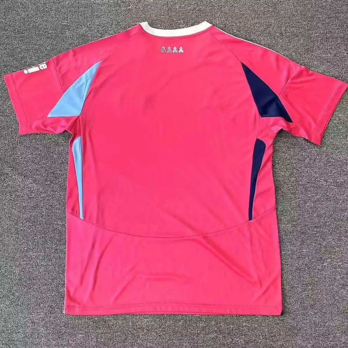 2024/25 FC Schalke 04 Special Edition Jersey-Fans