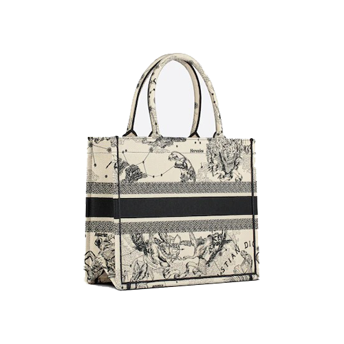 SMALL DIOR BOOK TOTE Latte Dior Zodiac Embroidery