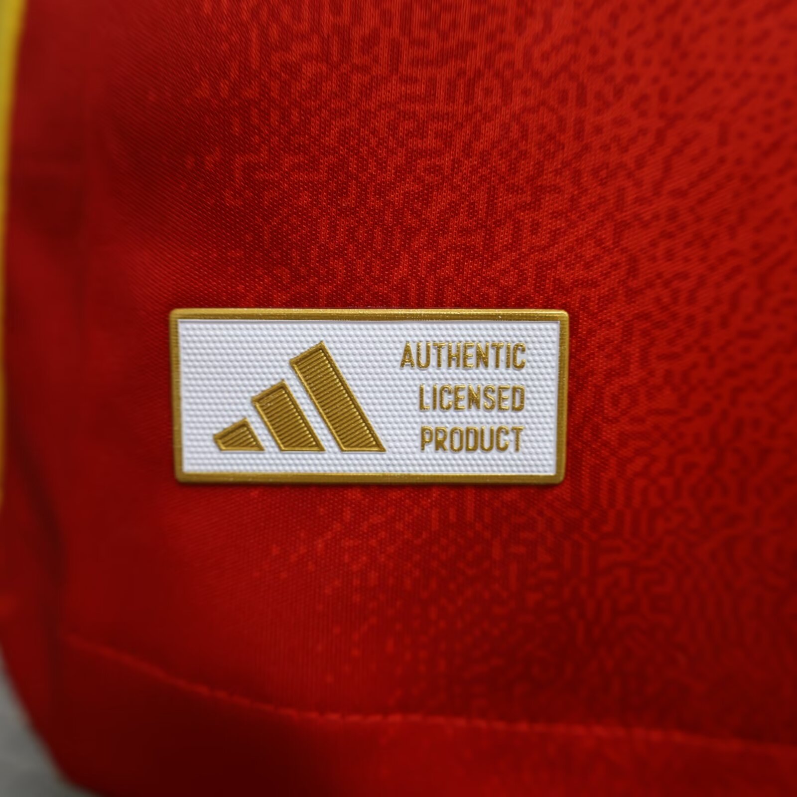 2024/25 Spain Home Long Sleeve Players 1:1 Thailand Quality