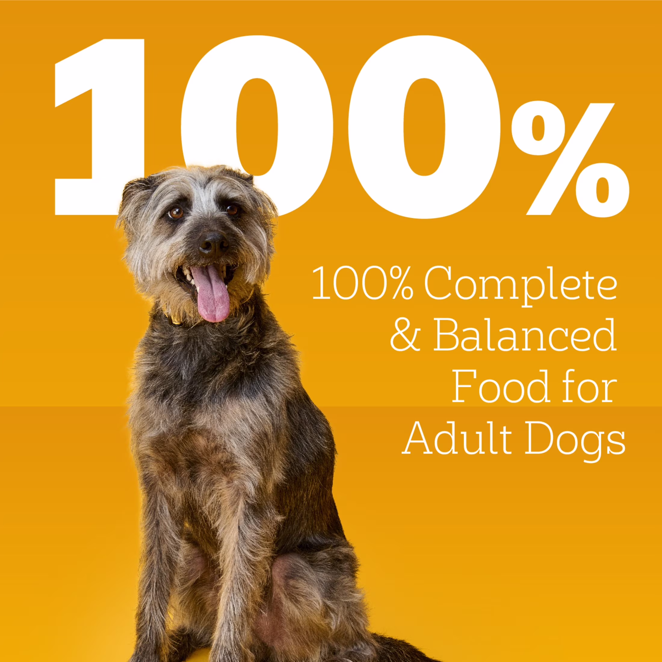 Pedigree Choice Cuts In Gravy With Beef Adult Canned Soft Wet Dog Food, 22 Oz. Can