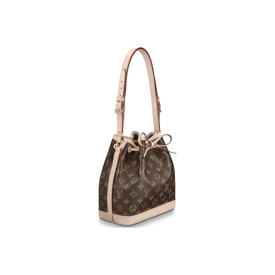 Louis Vuitton NOE BB Bundle rope bucket bag