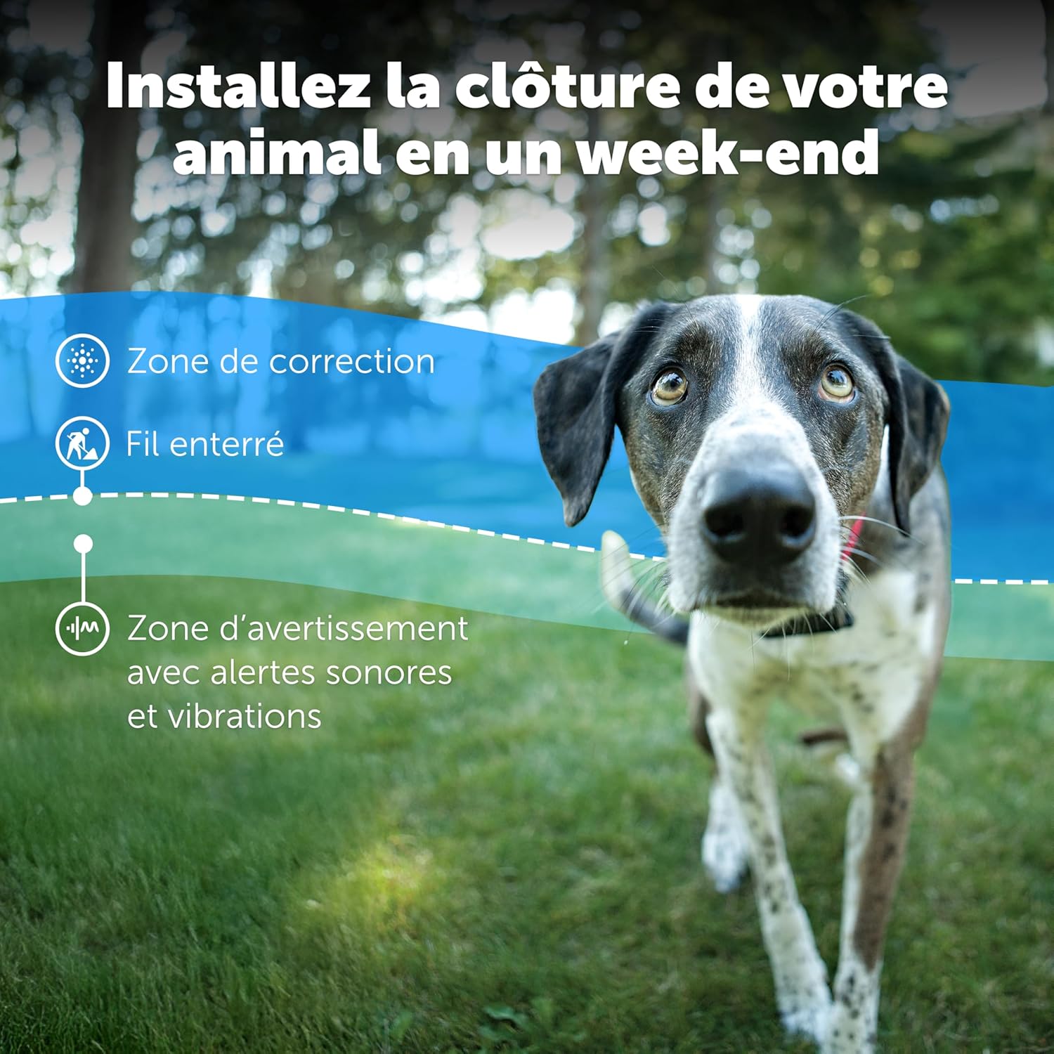 Clôture anti fugue collier et fil pour grand chien étanche