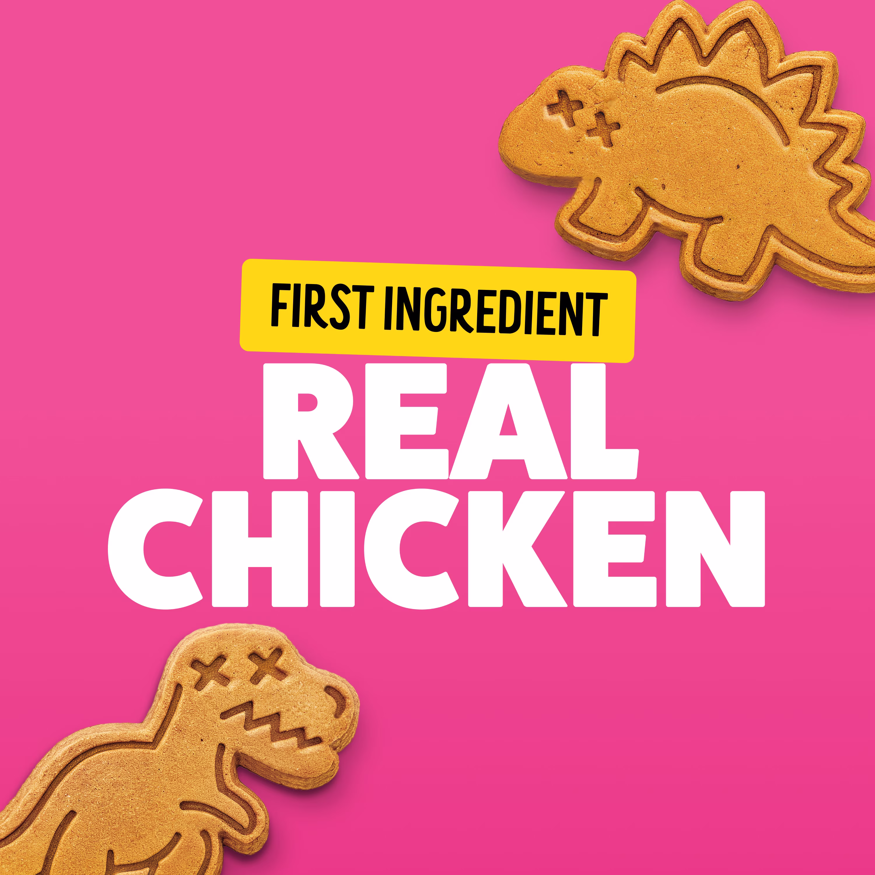 BONKERS Soft & Meaty Dog Treats Made with Real Chicken, Dinosaur Shapes, 5.6 oz Bag