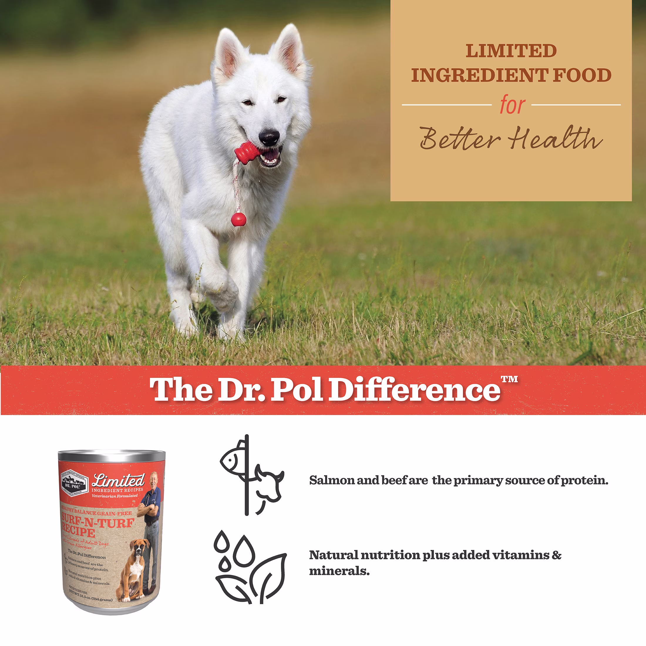 Dr. Pol Limited Ingredient Surf-N-Turf Canned Dog Food, 12.5oz.