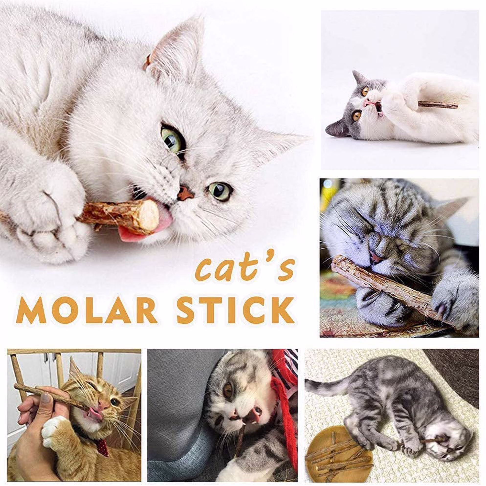 20 PCS Cat Catnip Sticks Natural Matatabi Silvervine Sticks - Cleaning Teeth Molar Tools Kitten Chew Toy Natural Catnip Cats Toy