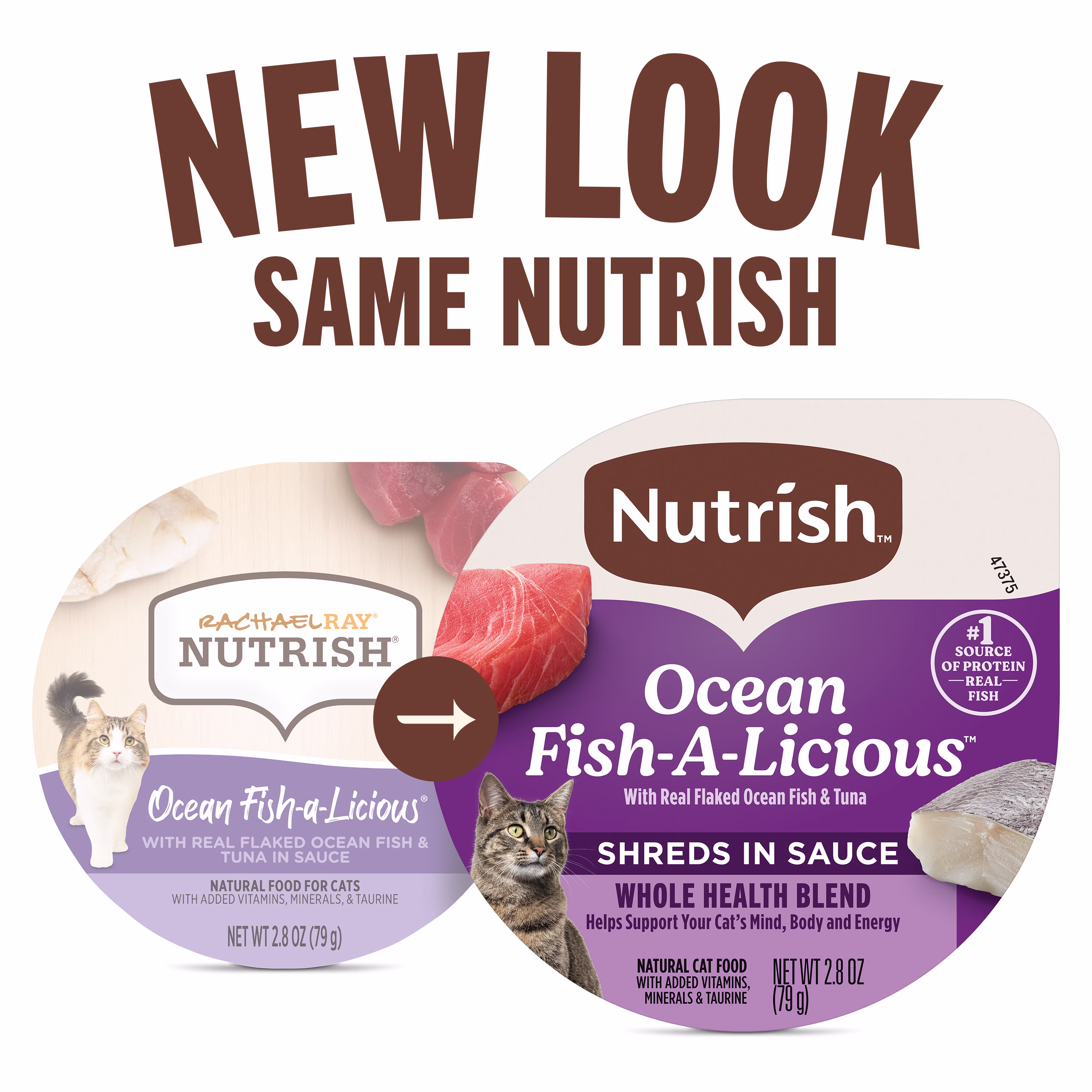(6 pack) Rachael Ray Nutrish Natural Wet Cat Food, Grain Free, Ocean Fish-a-Licious, 2.8 oz Tub