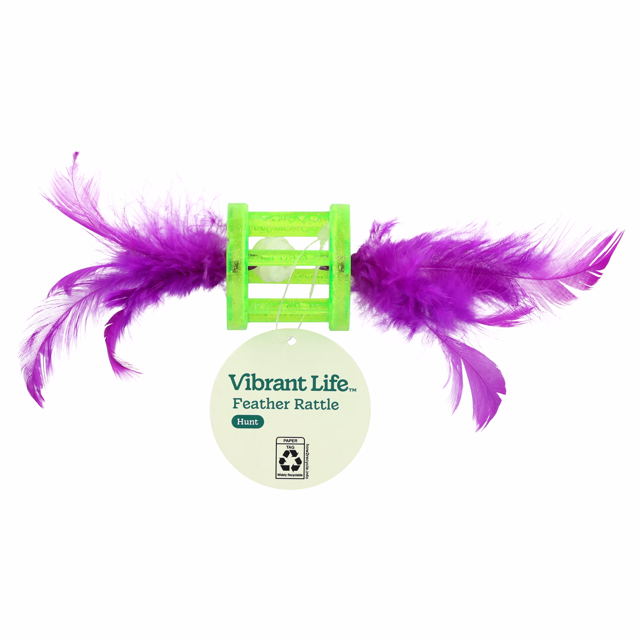 Vibrant Life Green and Purple Feather Rattle Cat Toy