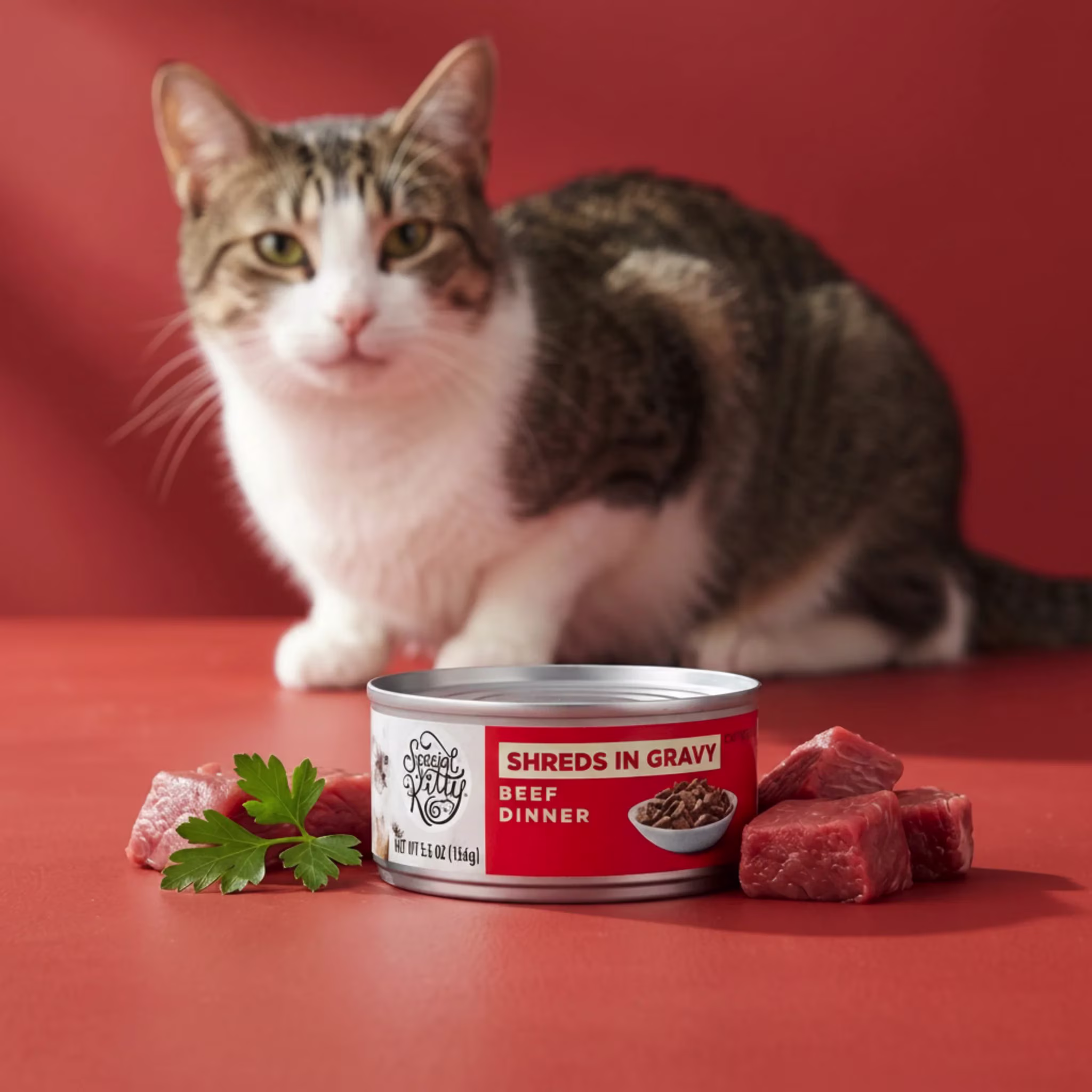 Special Kitty Beef Dinner Shreds in Gravy Wet Cat Food, 5.5 oz Can