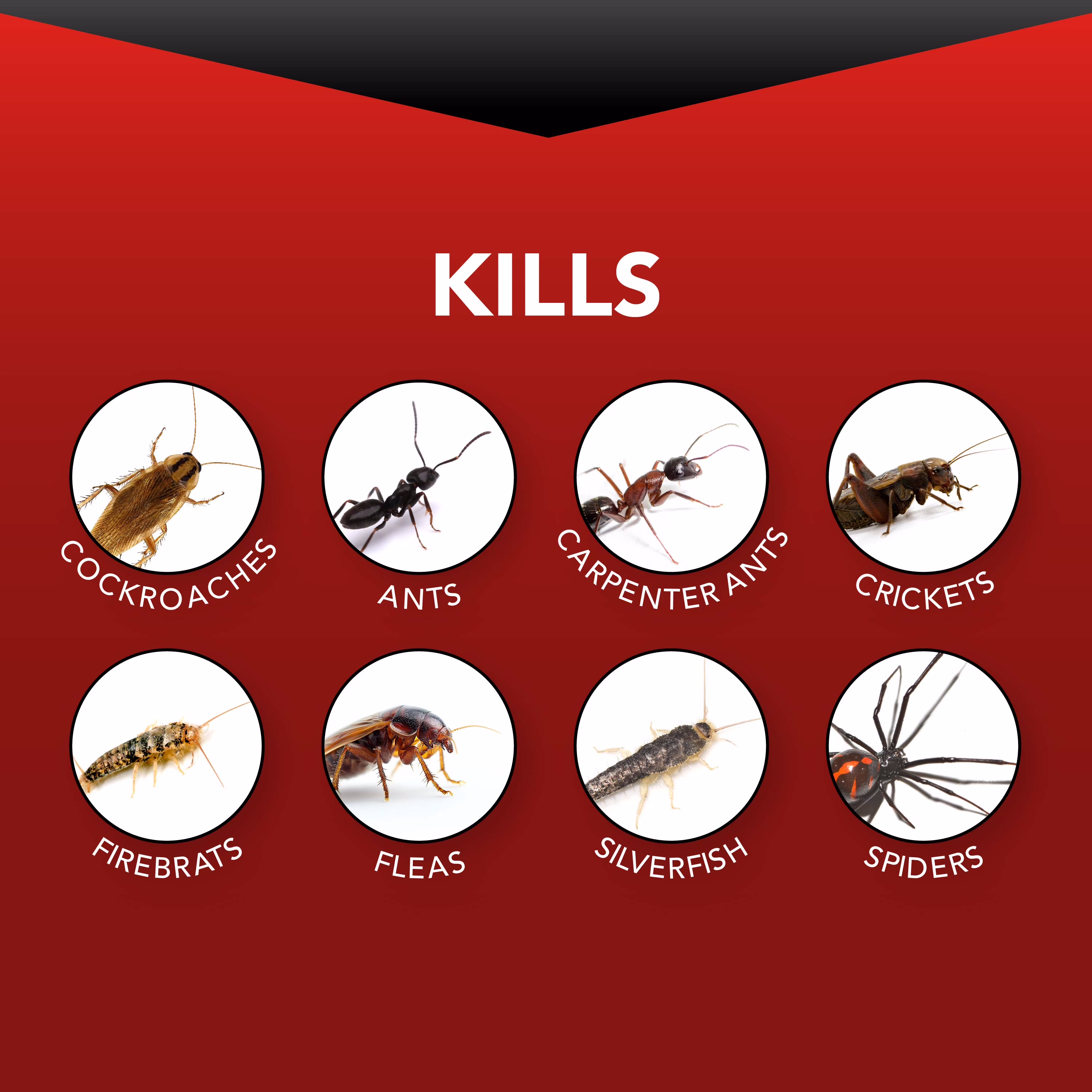 Eliminator Ant, Roach & Spider Killer4 Aerosol Spray, 17.5 oz