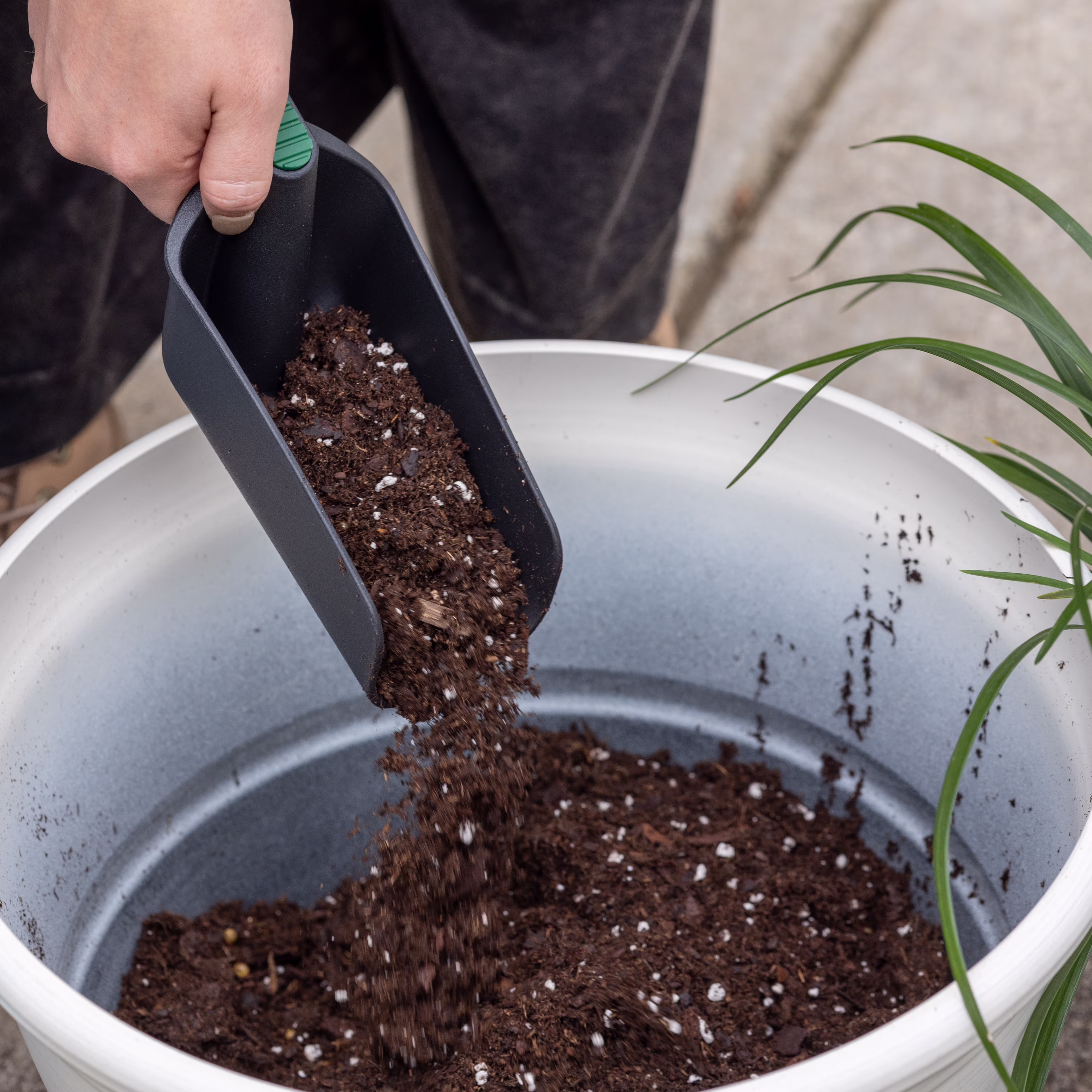 Expert Gardener Soil Scoop