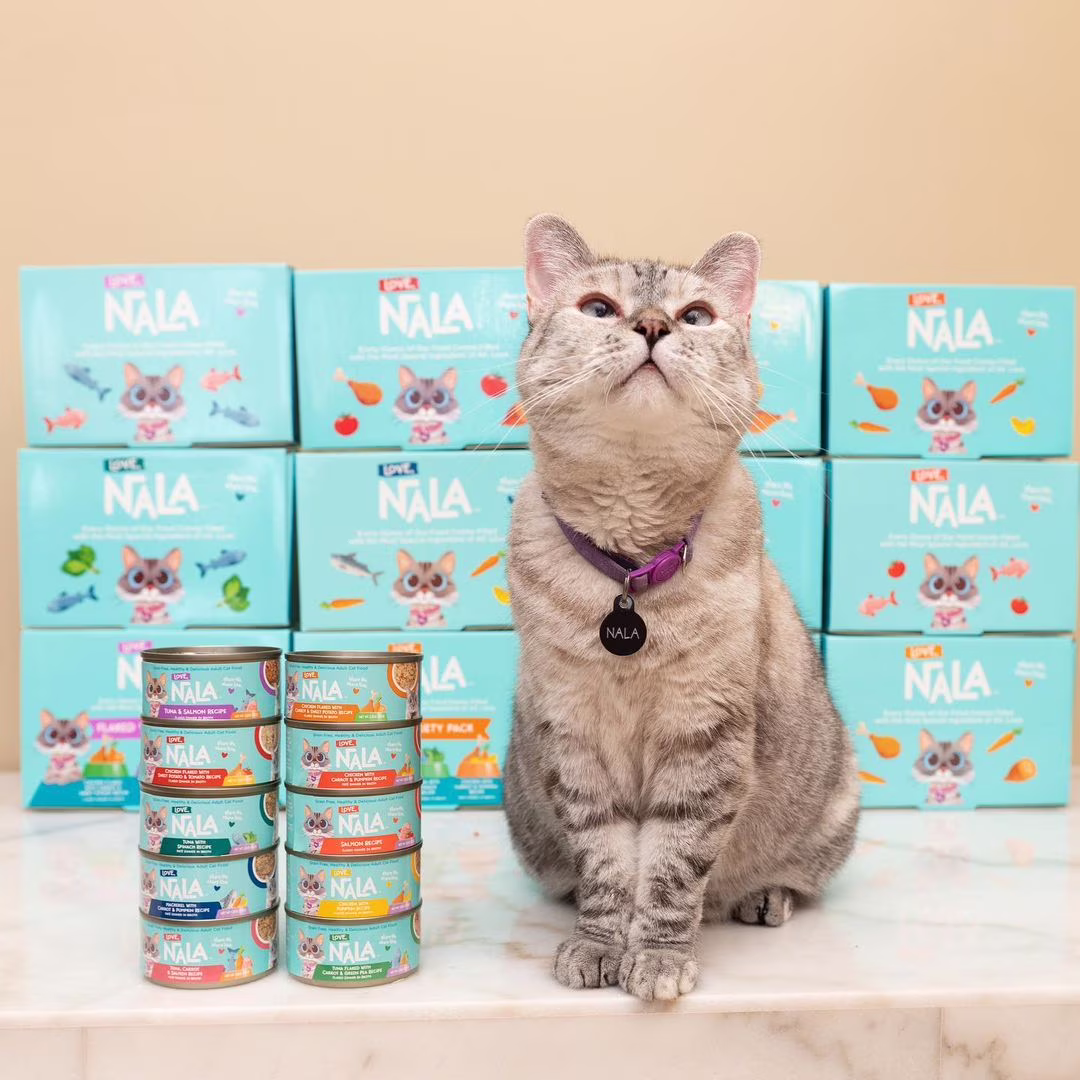 (6 pack) Love, Nala Adult Cat Flaked Wet Cat Food Tuna & Salmon Recipe in Broth, 2.8 oz
