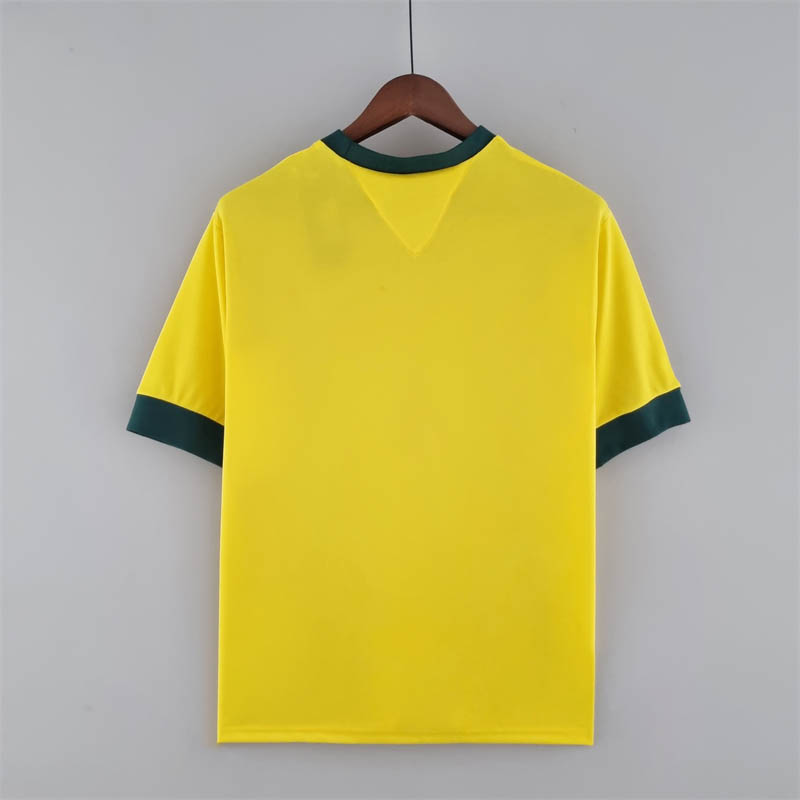 1970 Retro Brazil Home Soccer Jersey - Fans Edition