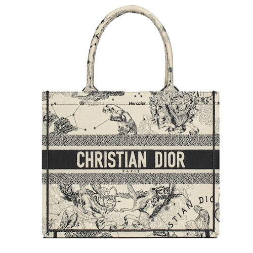 SMALL DIOR BOOK TOTE Latte Dior Zodiac Embroidery