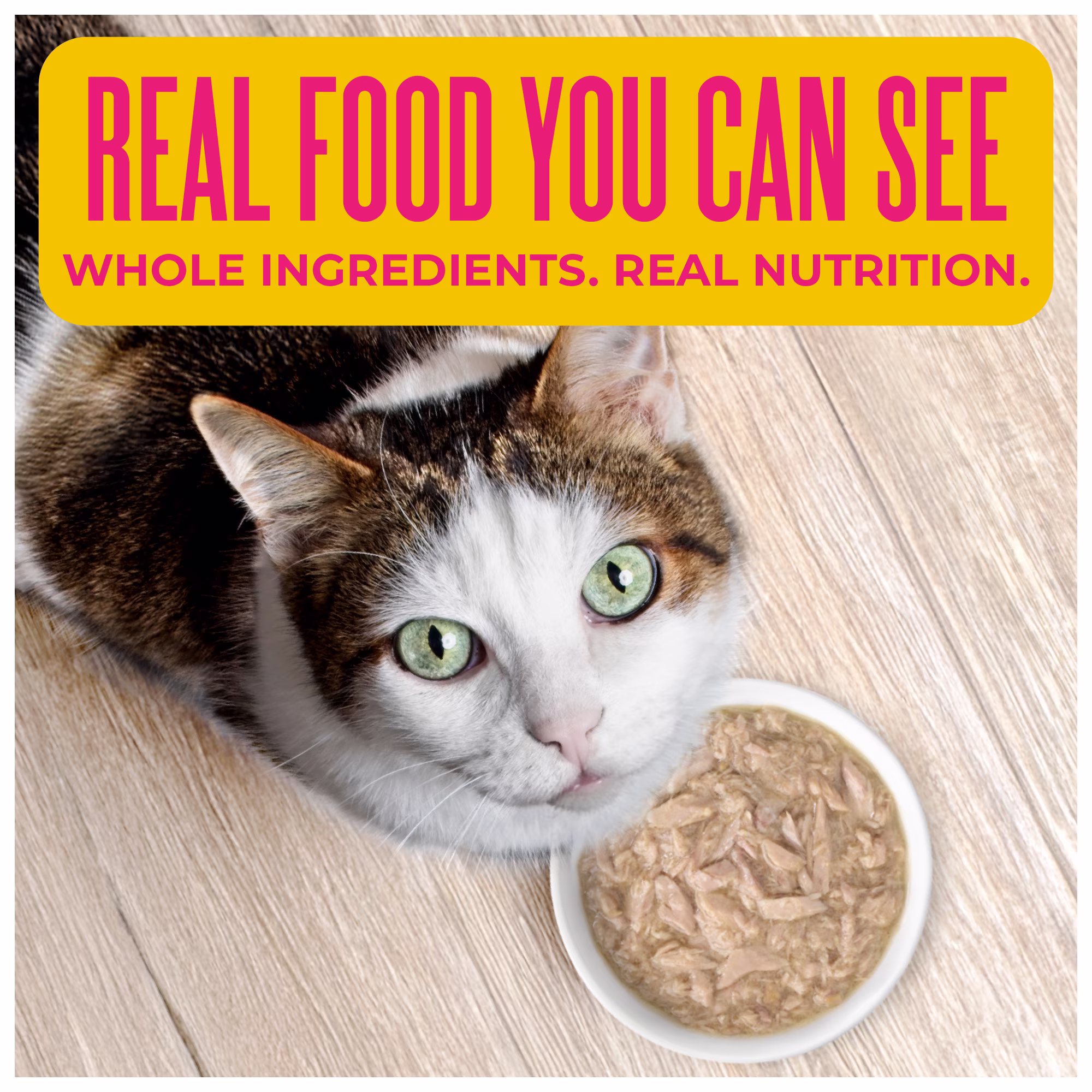Tiki Cat Born Carnivore Wet Cat Food, Tuna Recipe in Tuna Broth, 2.4 oz. Can