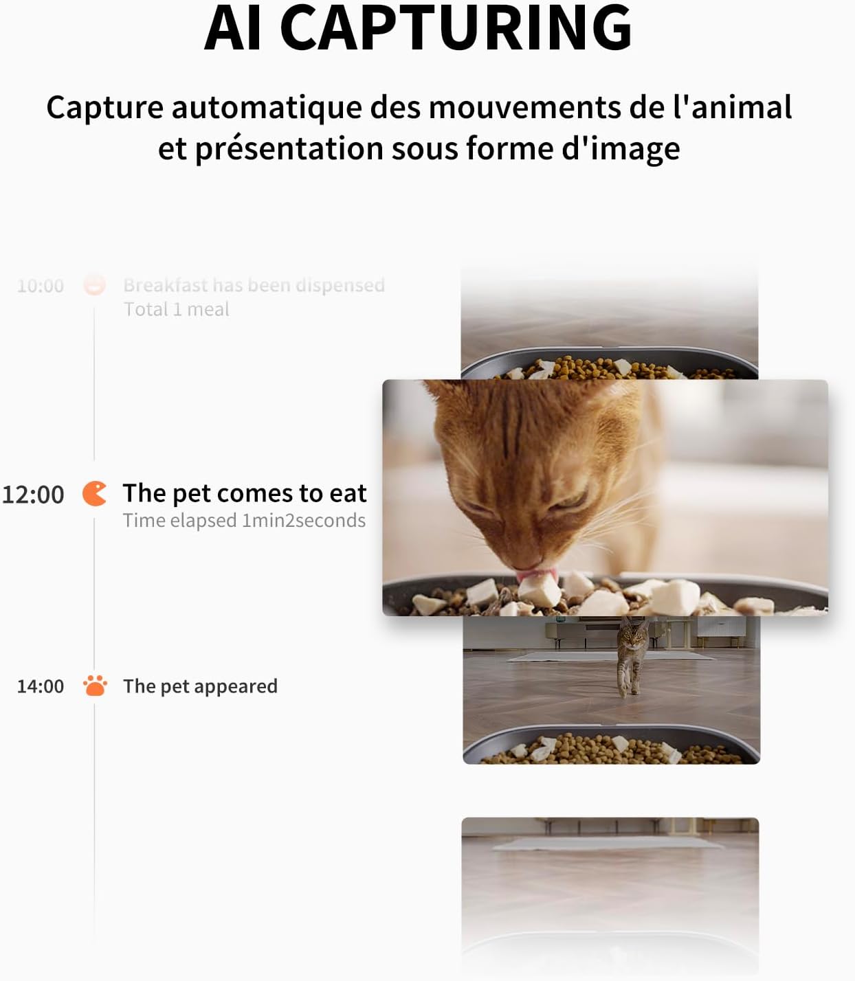 Distributeur croquettes chat caméra 1080P double trémie 5 L contrôle appli
