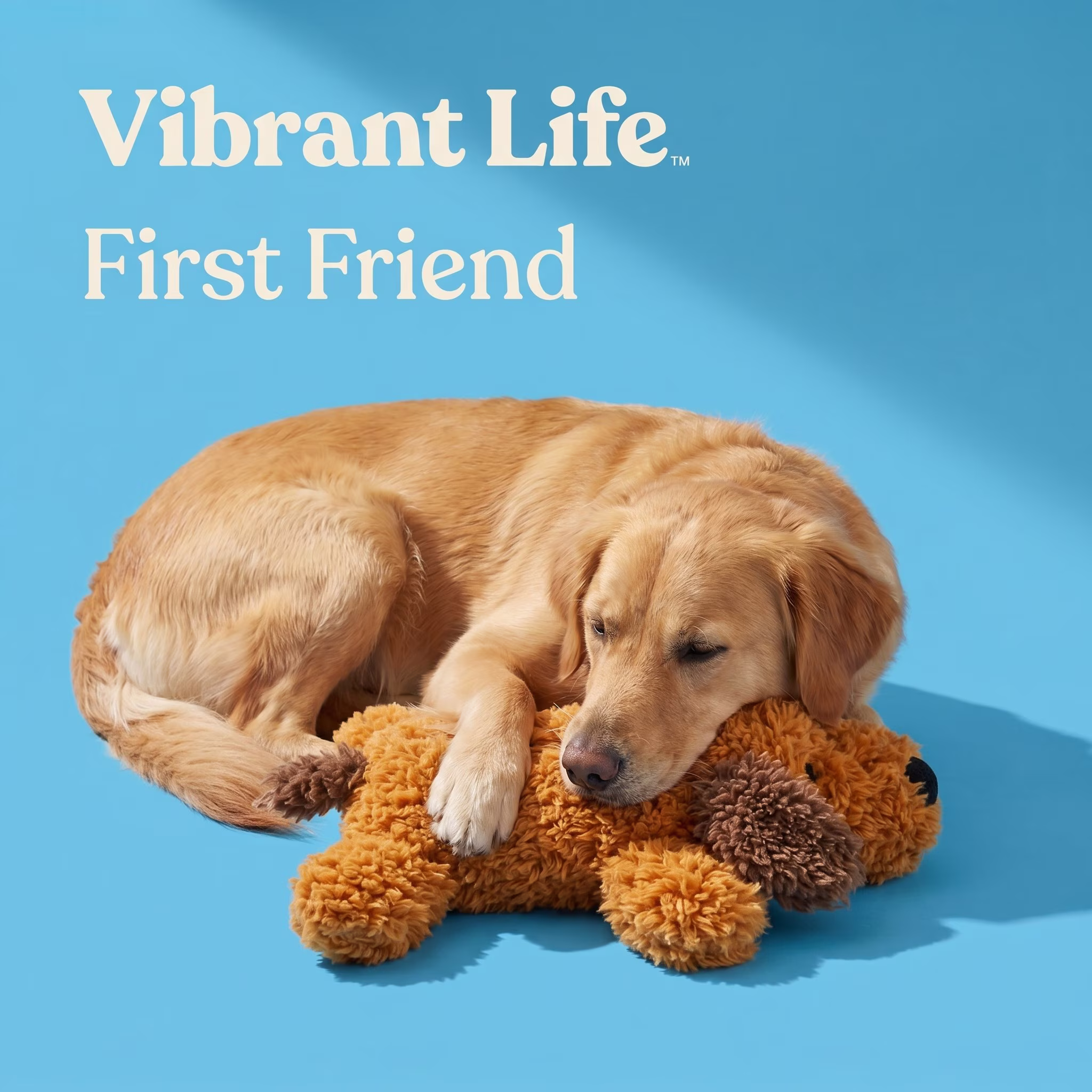 (4 pack) Vibrant Life Brown Floppy Plush Dog Toy with Squeaker, Chew Level 1