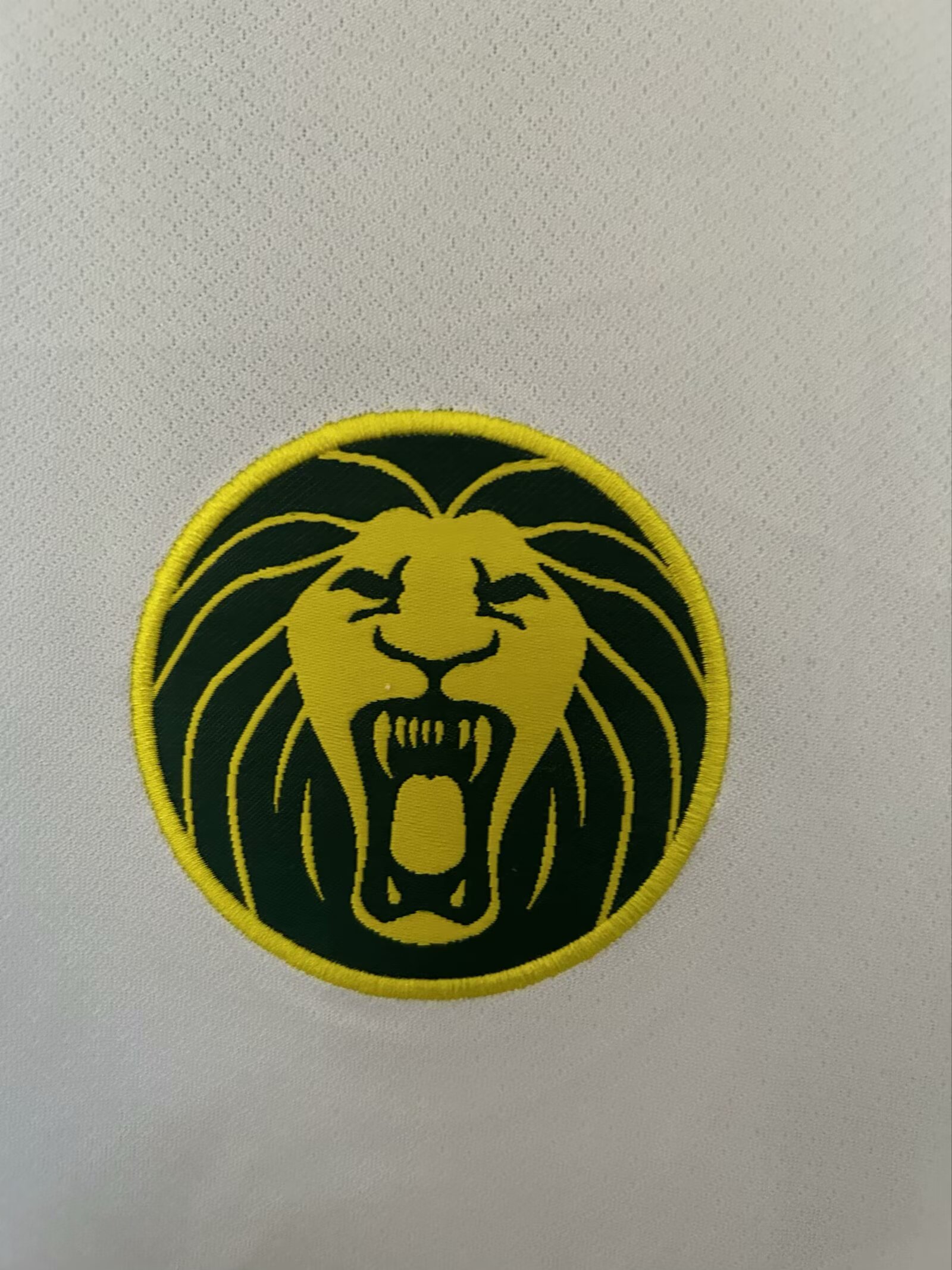 2025-26 Cameroon White - Jersey - Fan Edition