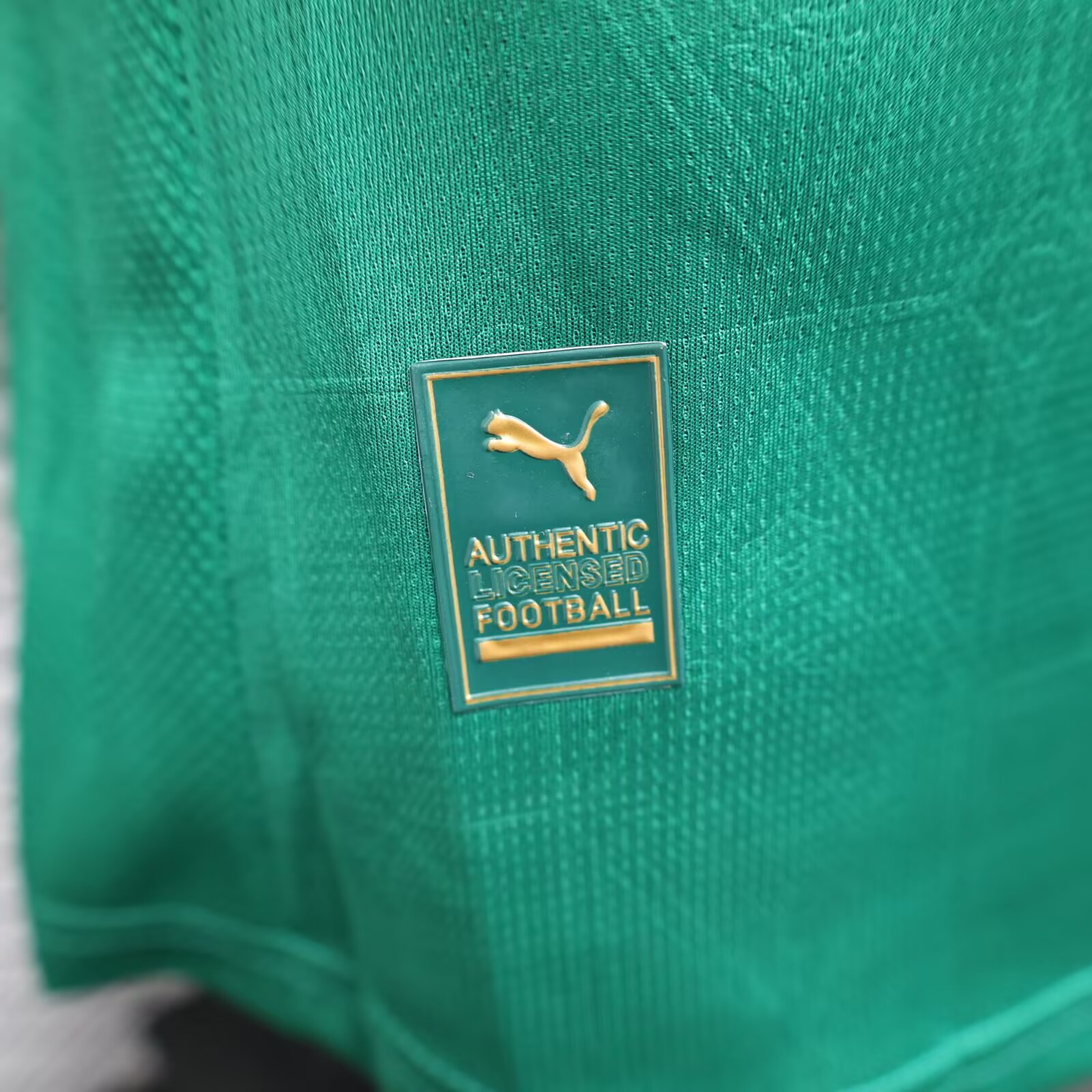 2025-26 Palmeiras Home - Jersey - Player Edition