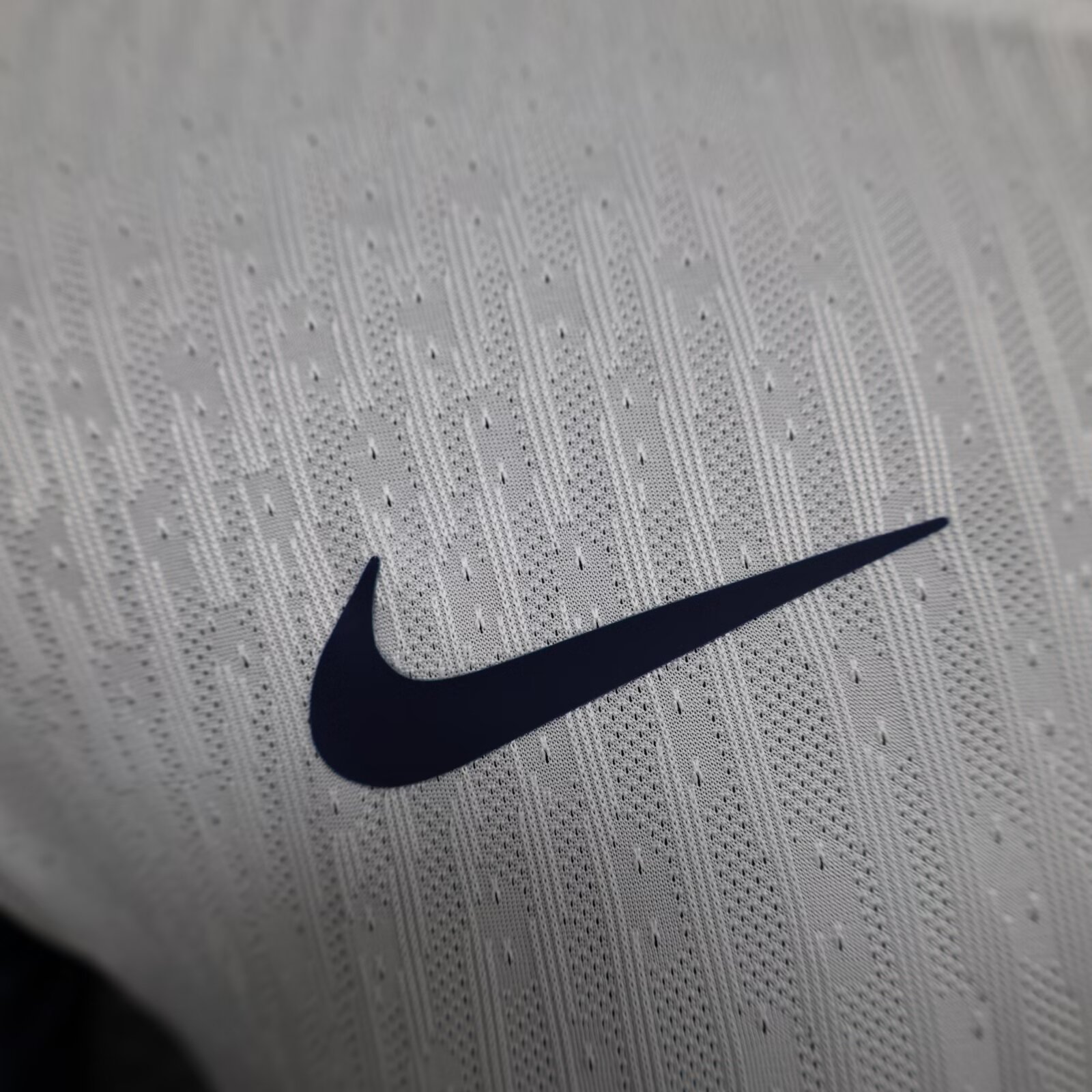 2024/25 Tottenham Hotspur Home Long Sleeve - Player Edition