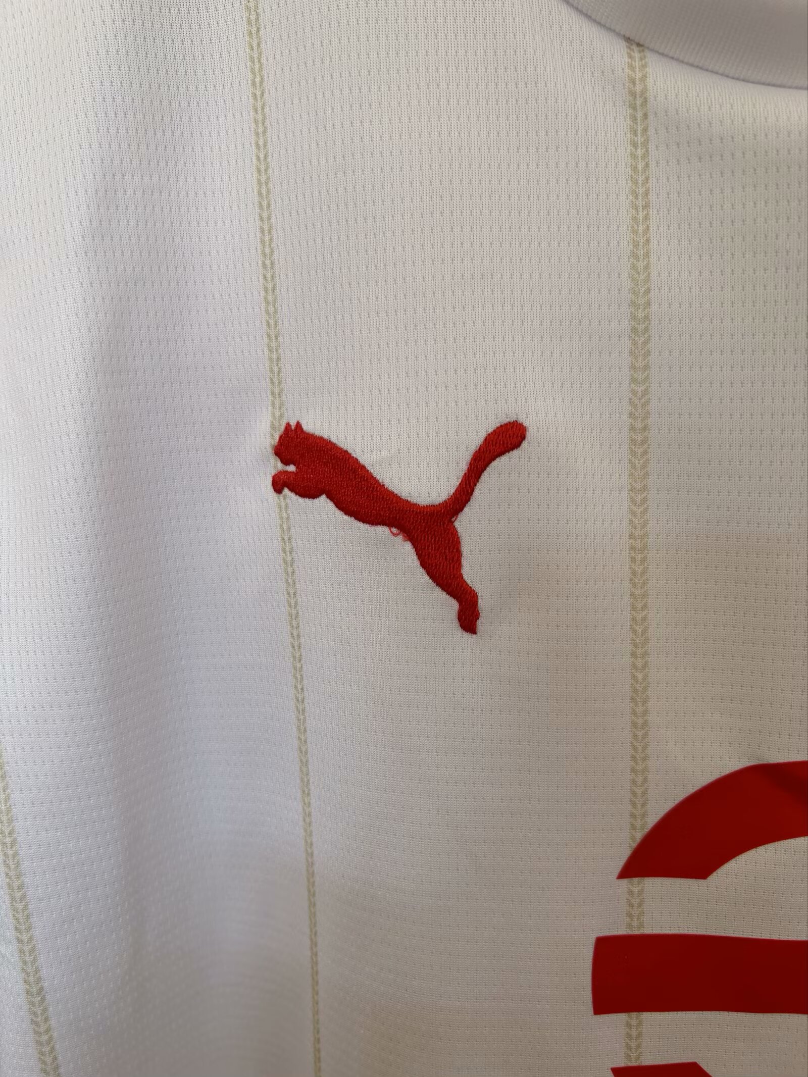 2025-26 AC Milan 125th Anniversary Edition - Jersey - Fan Edition