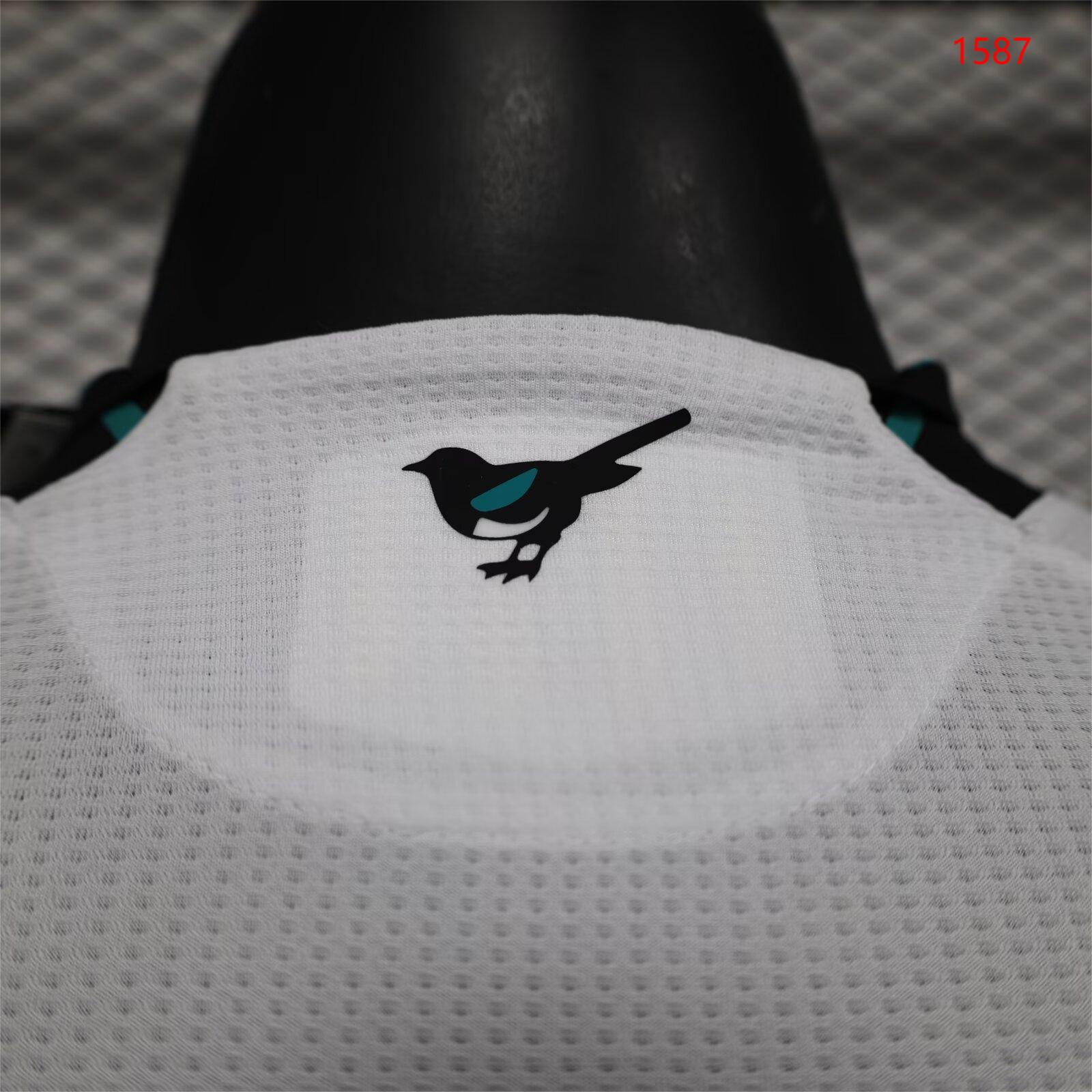 2024/25 Newcastle United Second Away Shirt - Player Edition