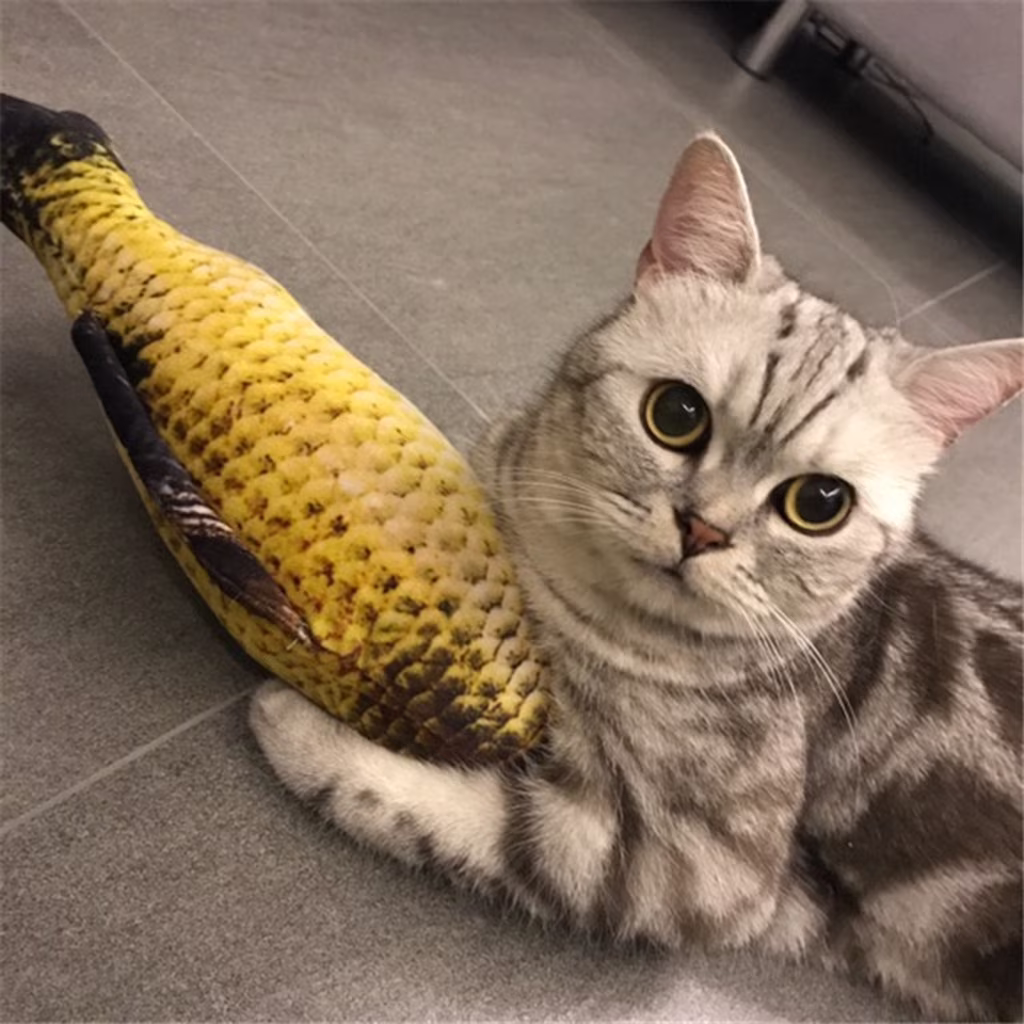 kedshhgu Cat Toys Interactive Flopping Fish with Catnip, Cat Toys for Indoor Outdoor Cats, 7.9