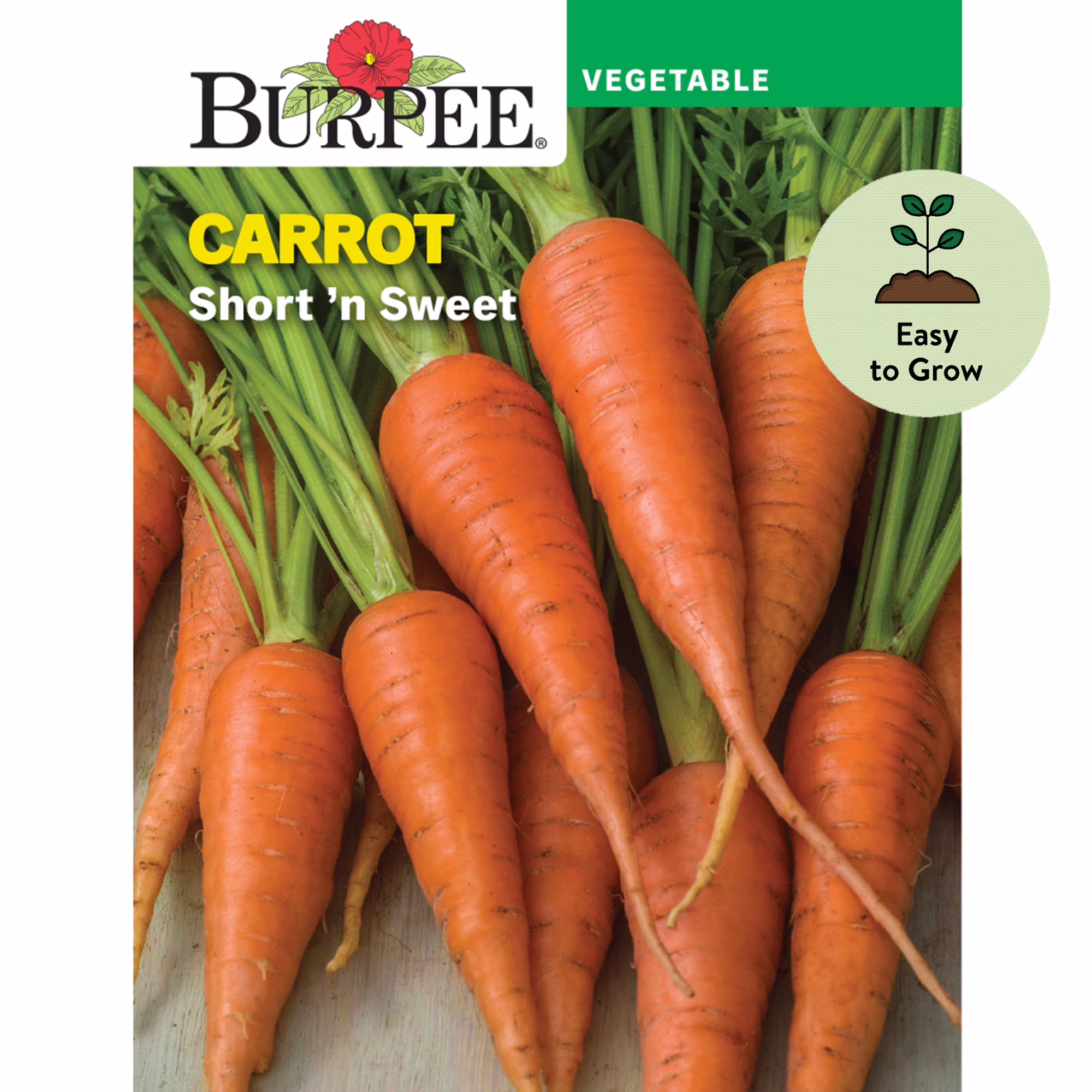 Burpee Short 'N Sweet Carrot Seeds - Easy to Grow, Vegetable Gardening Seeds, 1-Pack