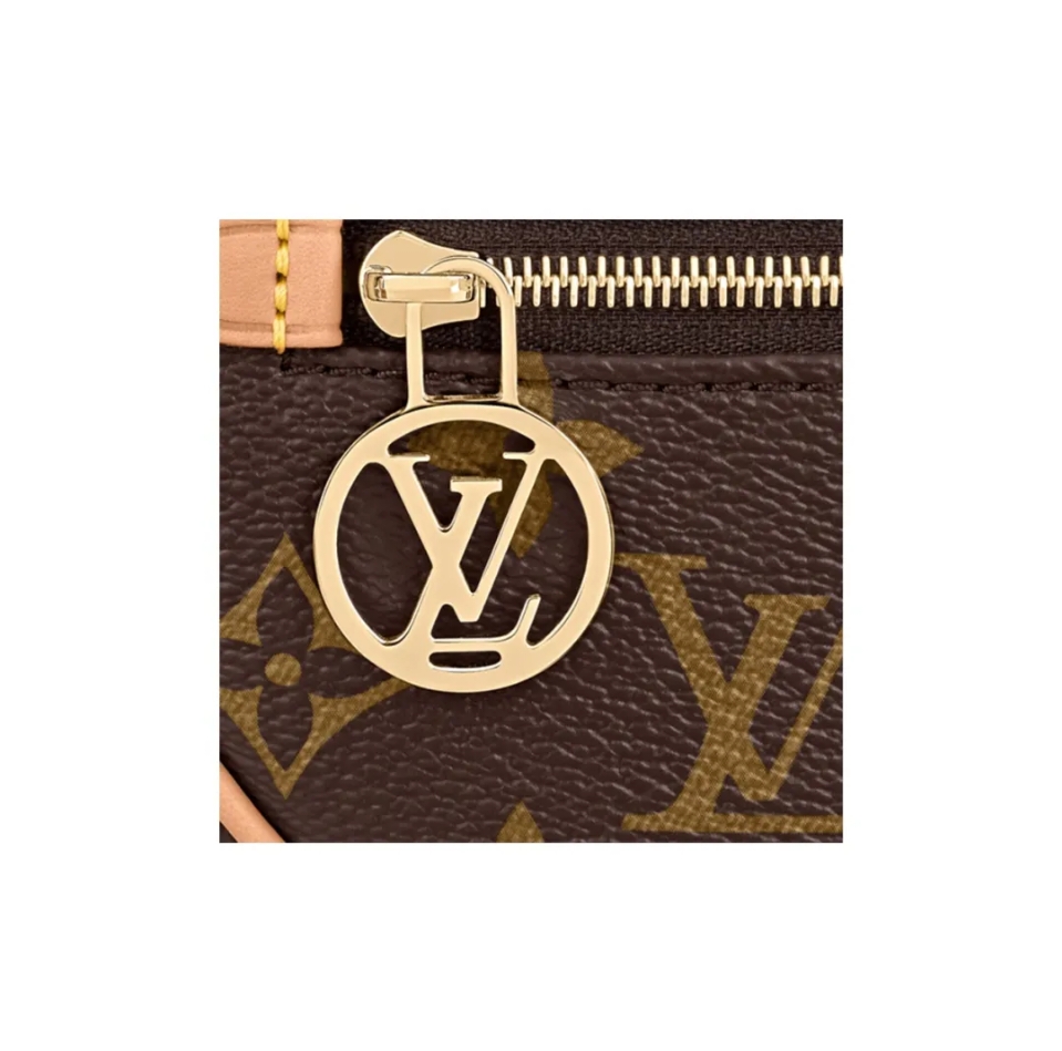 Louis vuitton loop bag