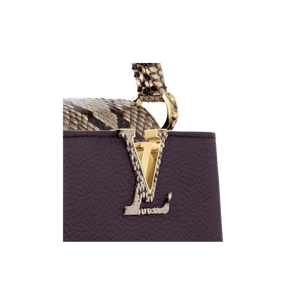 LOUIS VUITTIN Capucines leather with python skin trim