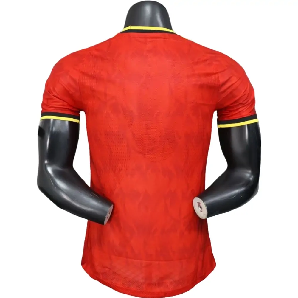 Belgium national football team