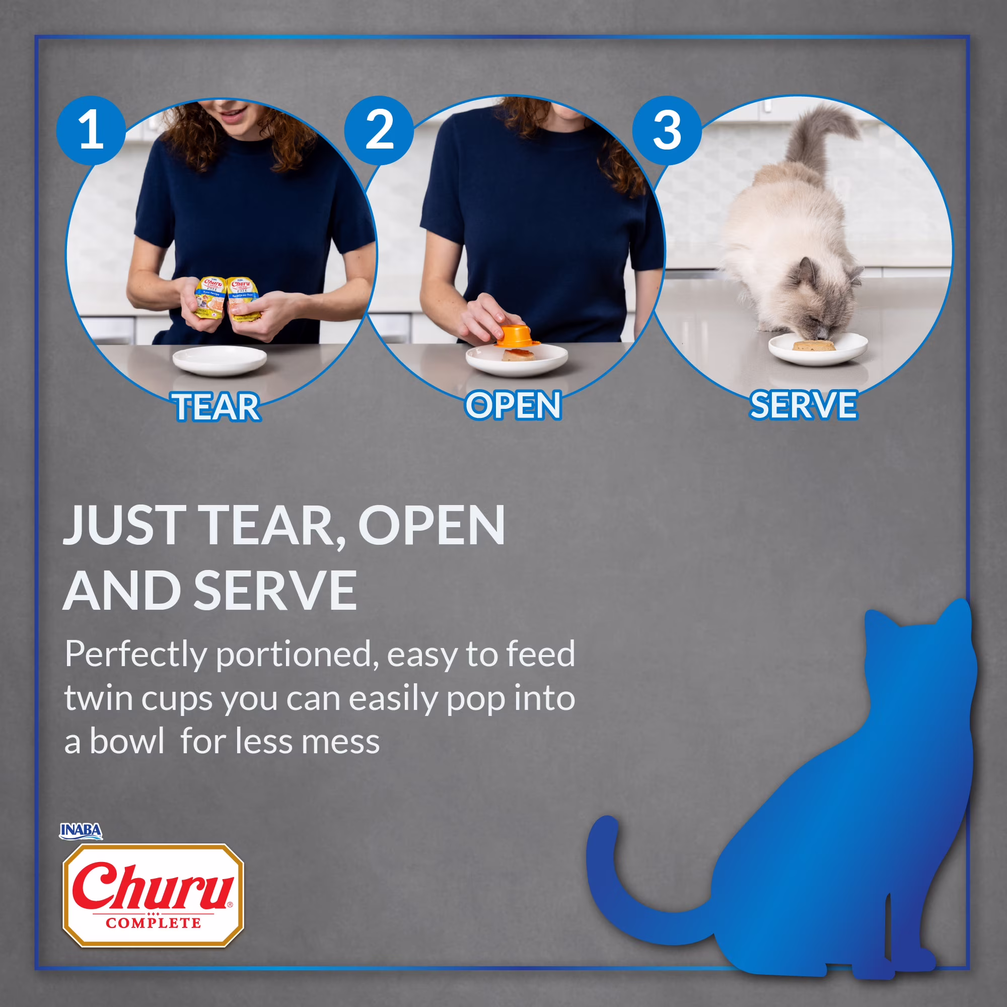 INABA Churu Complete Pate Wet Cat Food with Fish Oil, 1.23oz. per Serving, 2 Servings, Chicken Recipe with Cheese