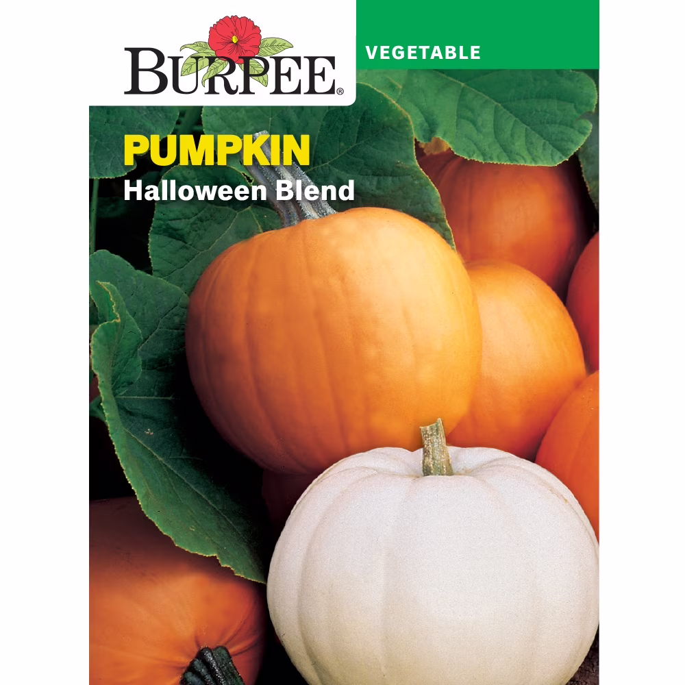 Burpee Halloween Blend Pumpkin Vegetable Seed, 1-Pack