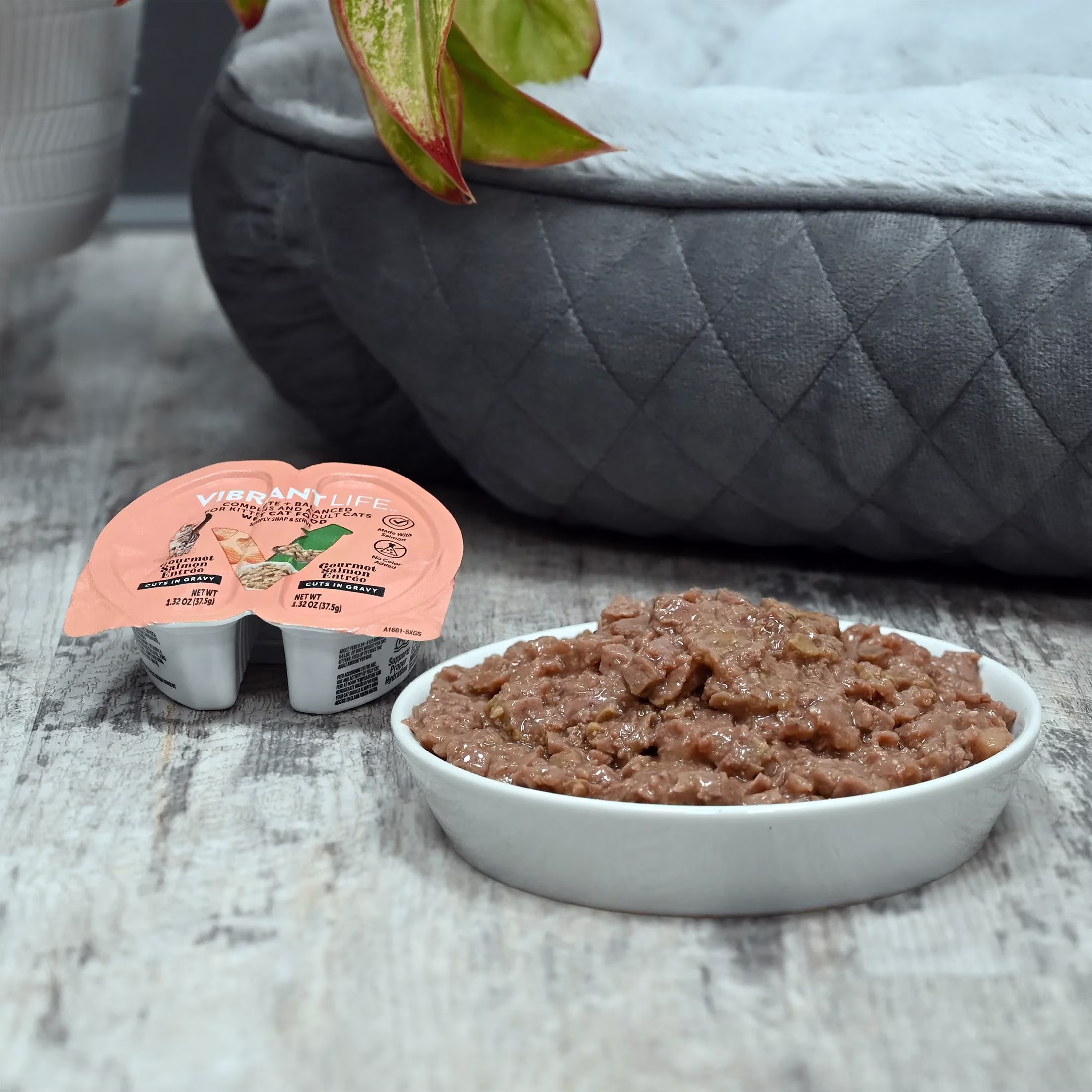 Vibrant Life Gourmet Salmon Entree Cuts in Gravy Wet Cat Food, Complete + Balanced, 2.64 oz Split Cup