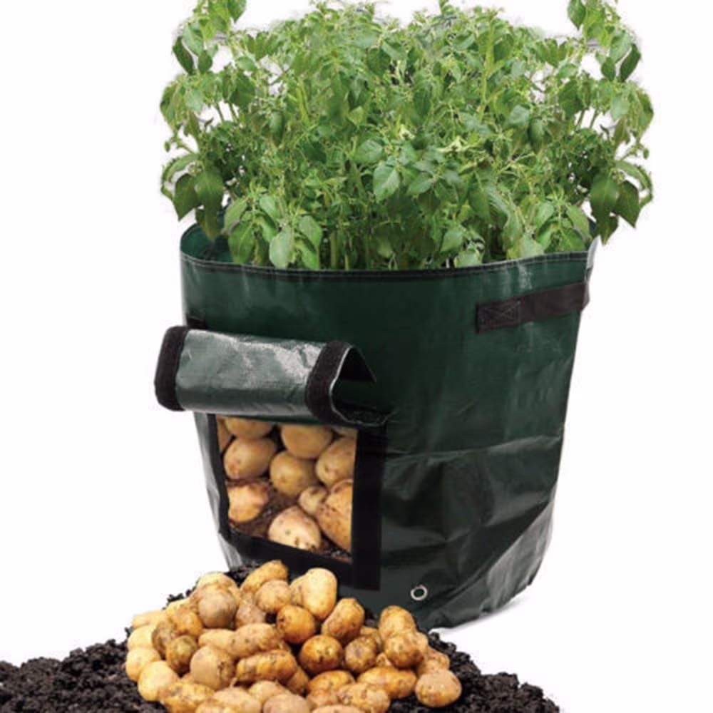 Hvmvliv Potato Grow Bag Heavy Duty PE Fabric Fruit Planter Pot with Side Window